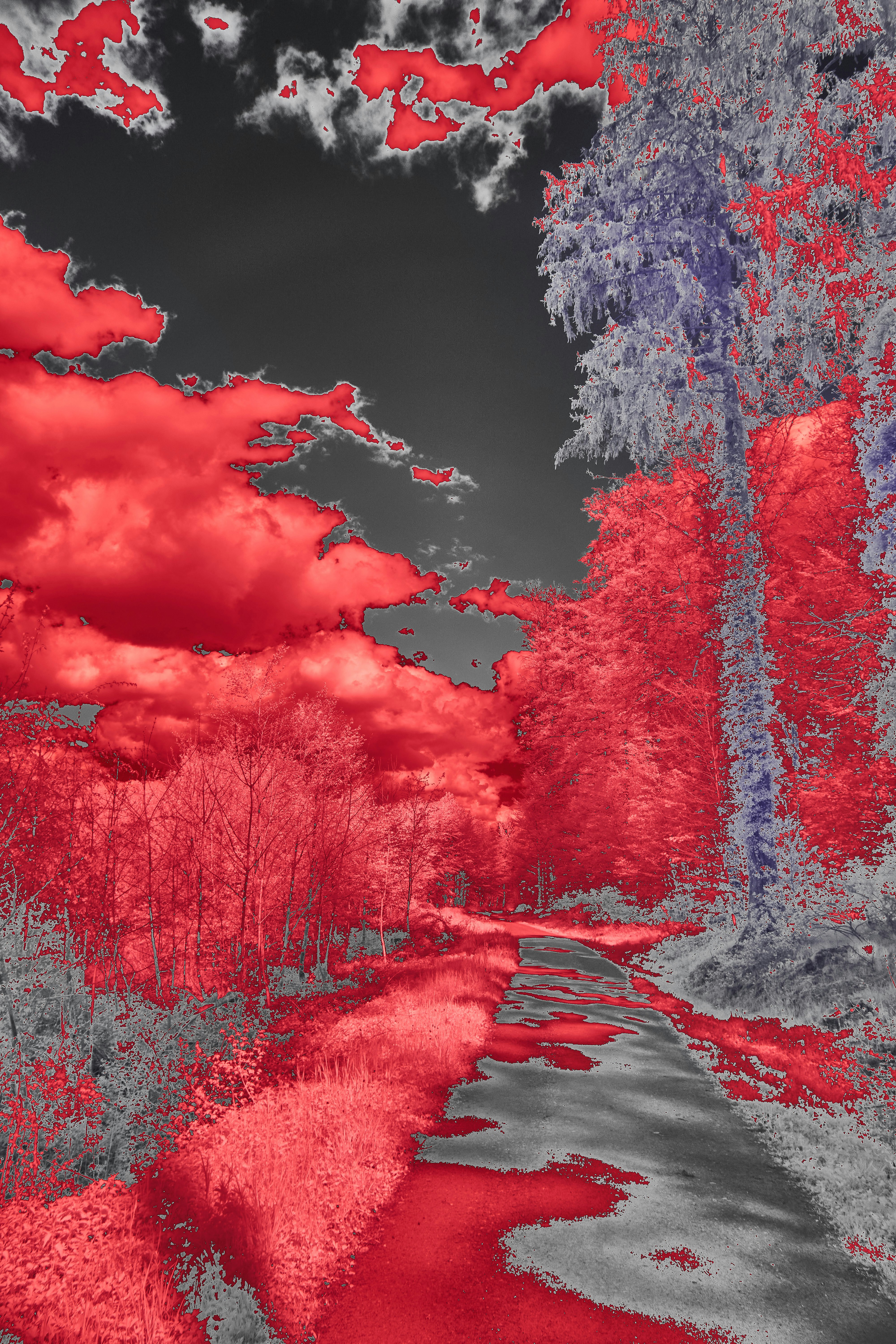 Photo by wolfgang_hasselmann