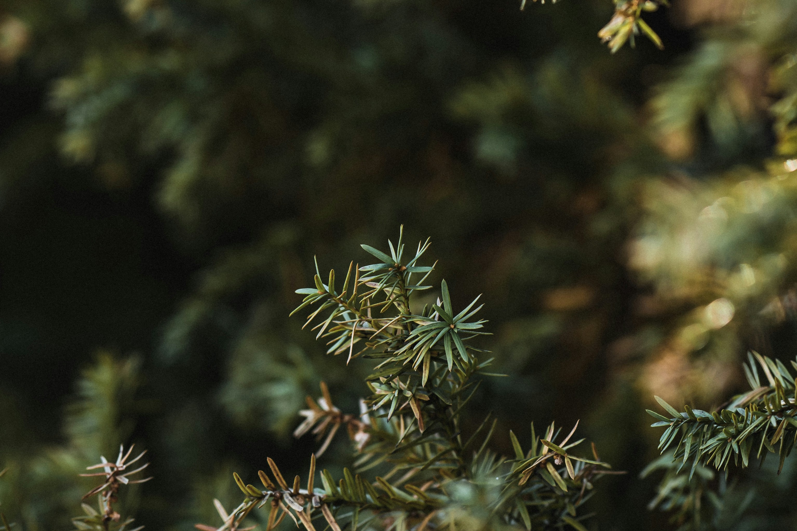 Photo by colemangloverphotography