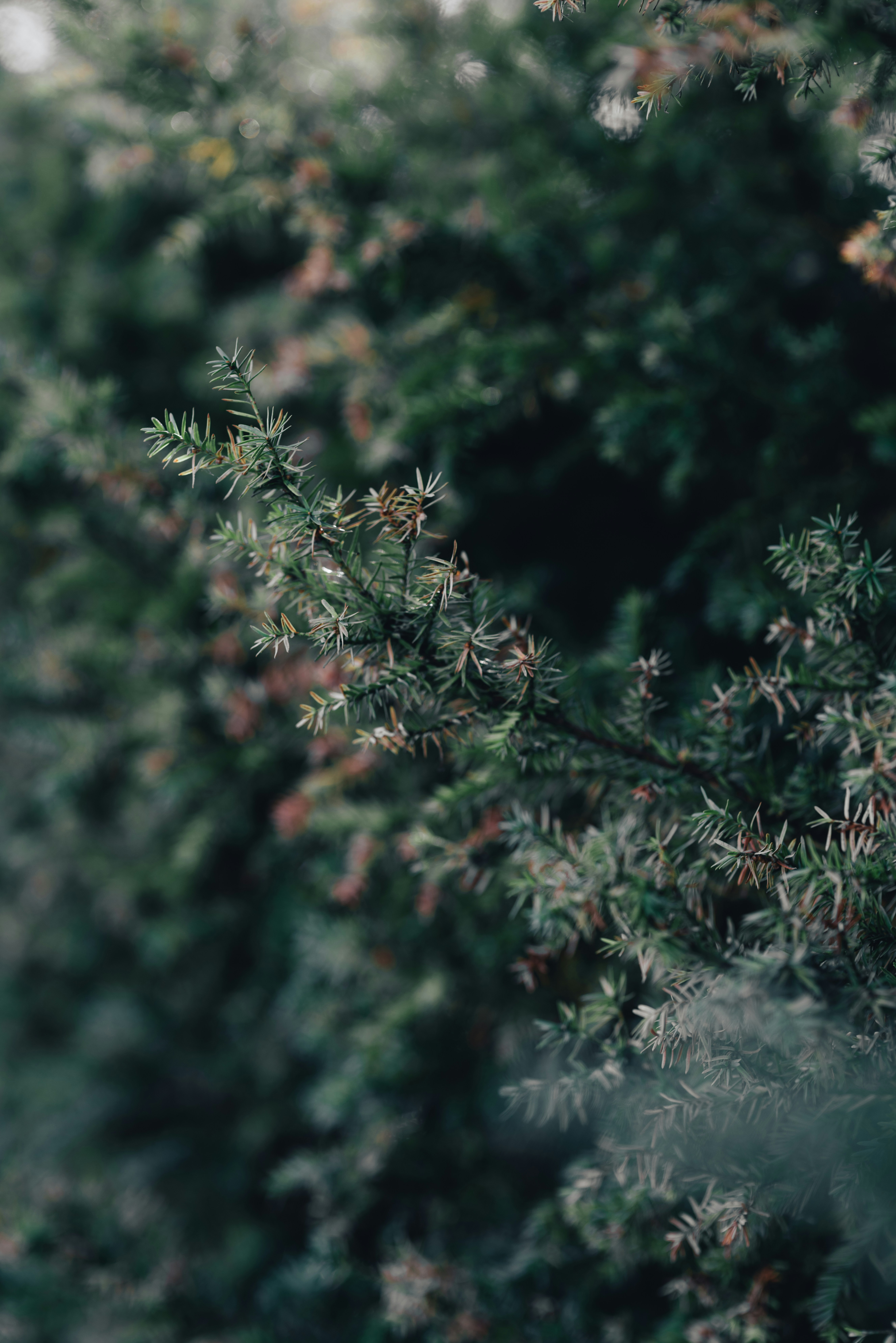 Photo by colemangloverphotography