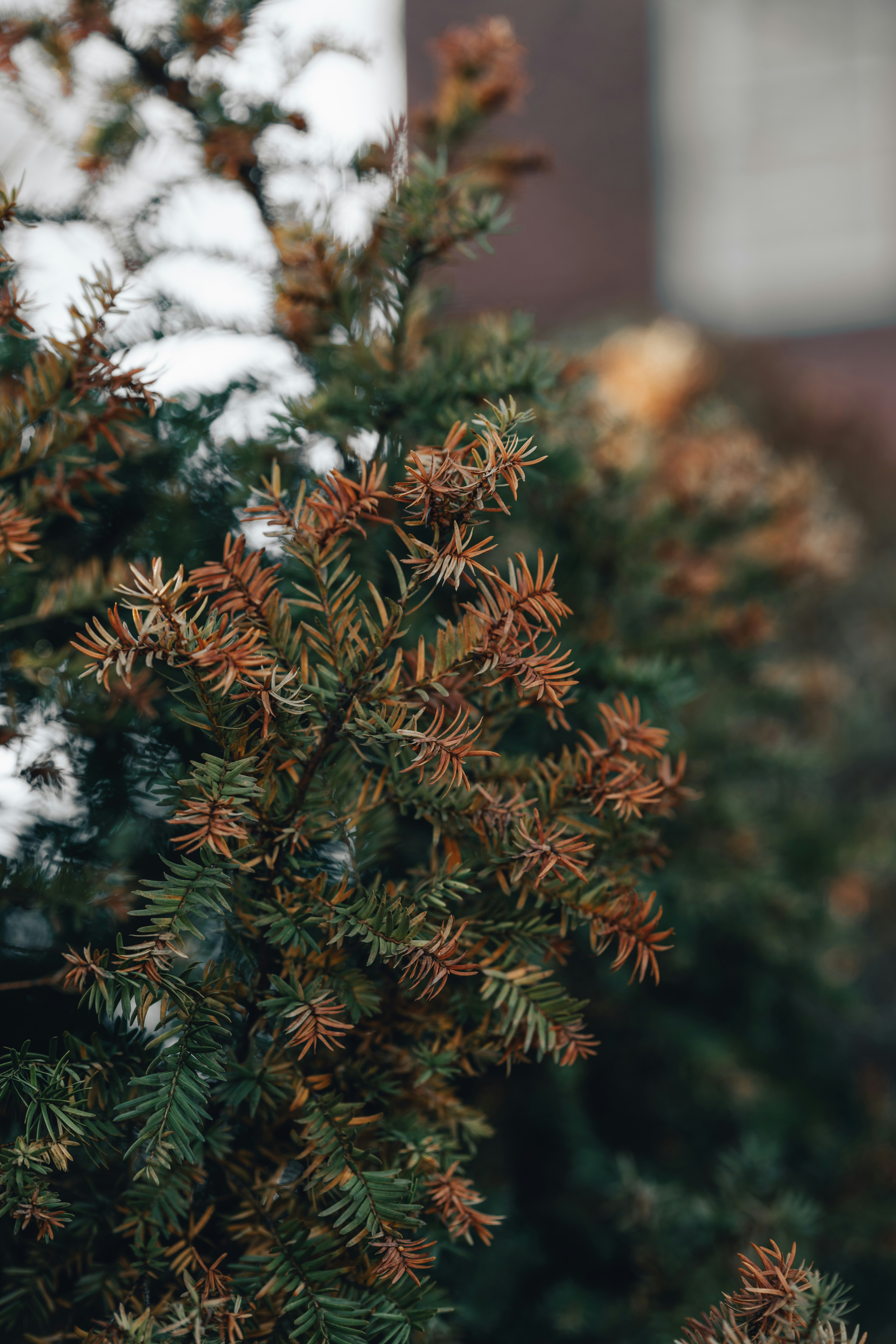 Photo by colemangloverphotography