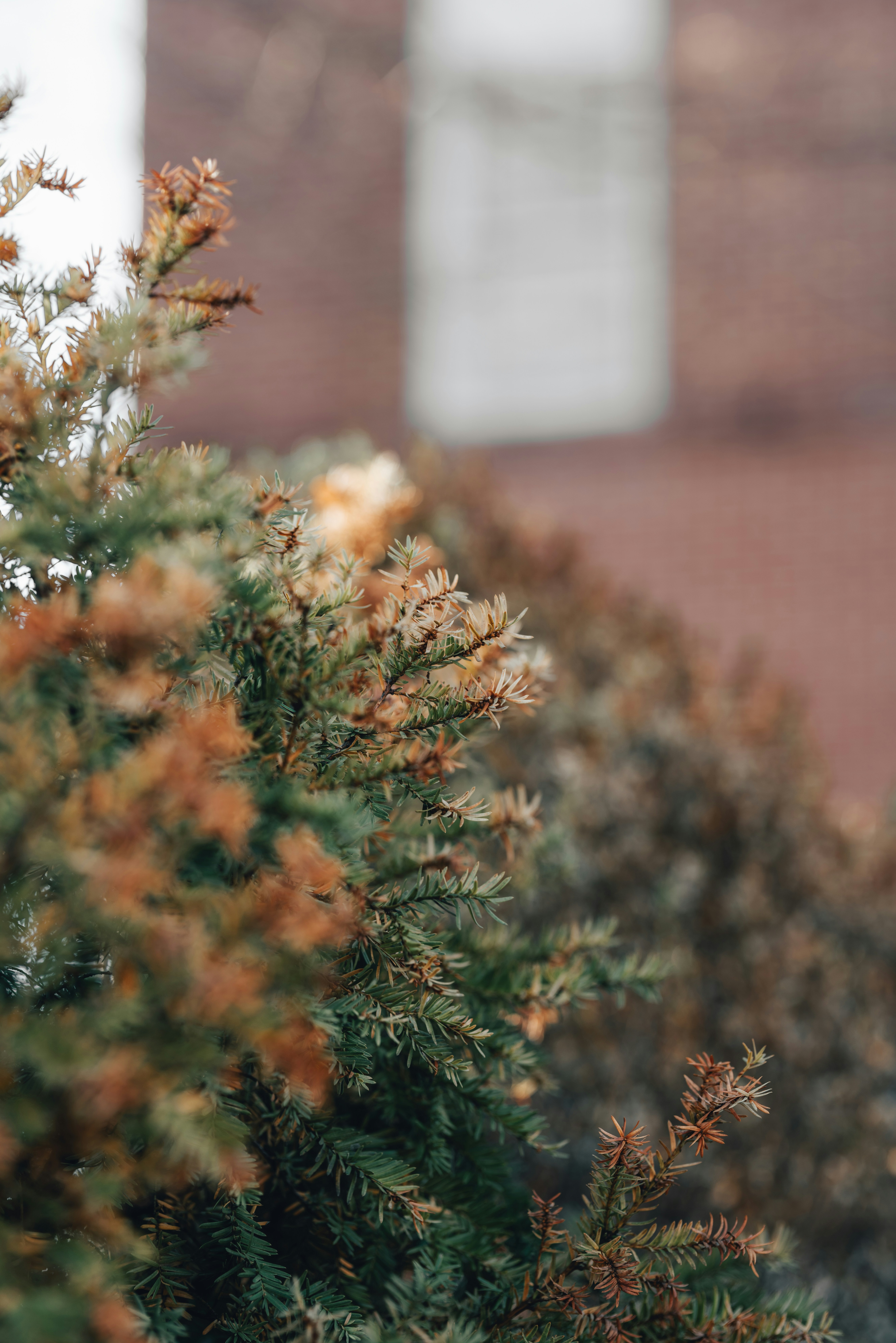 Photo by colemangloverphotography