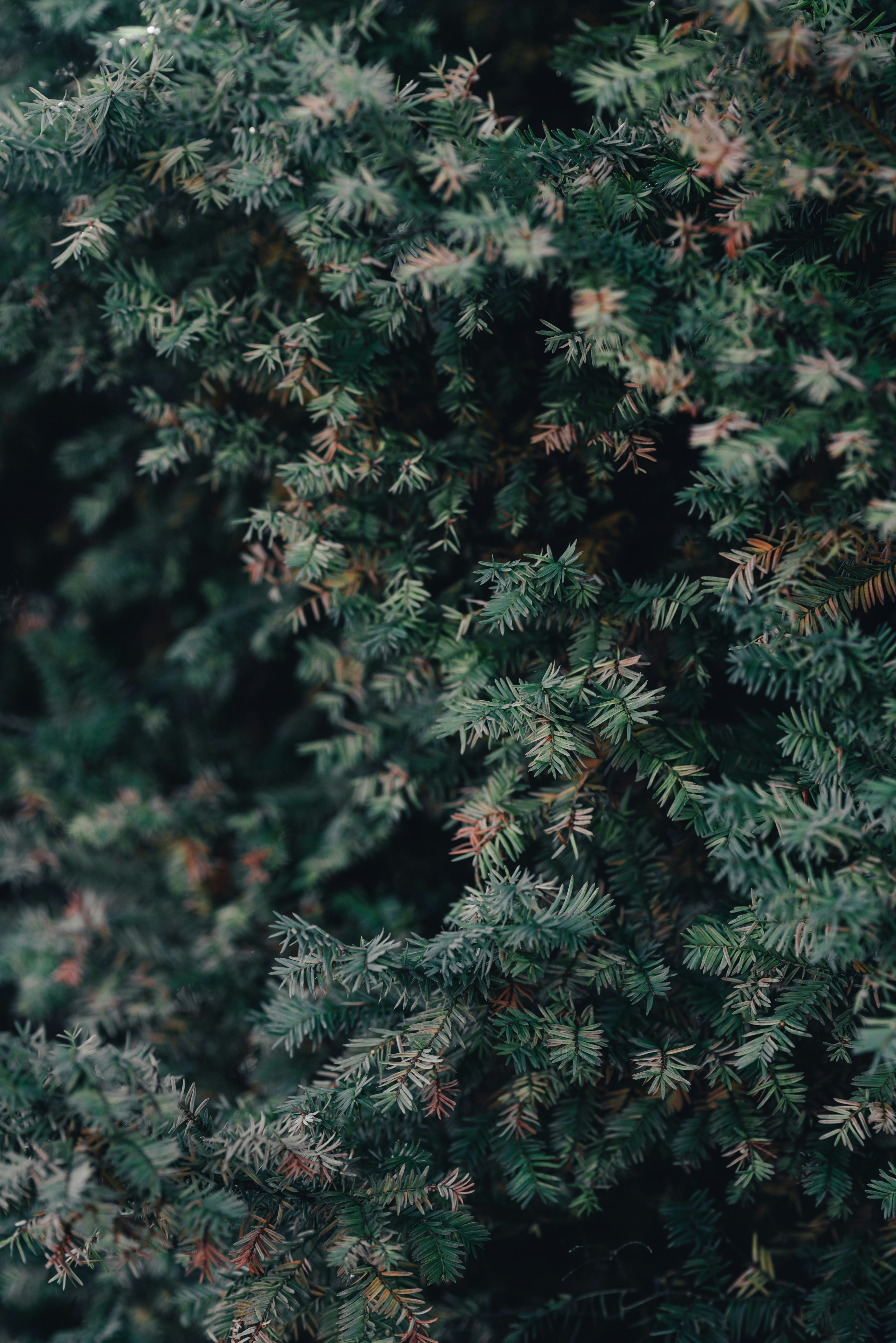 Photo by colemangloverphotography