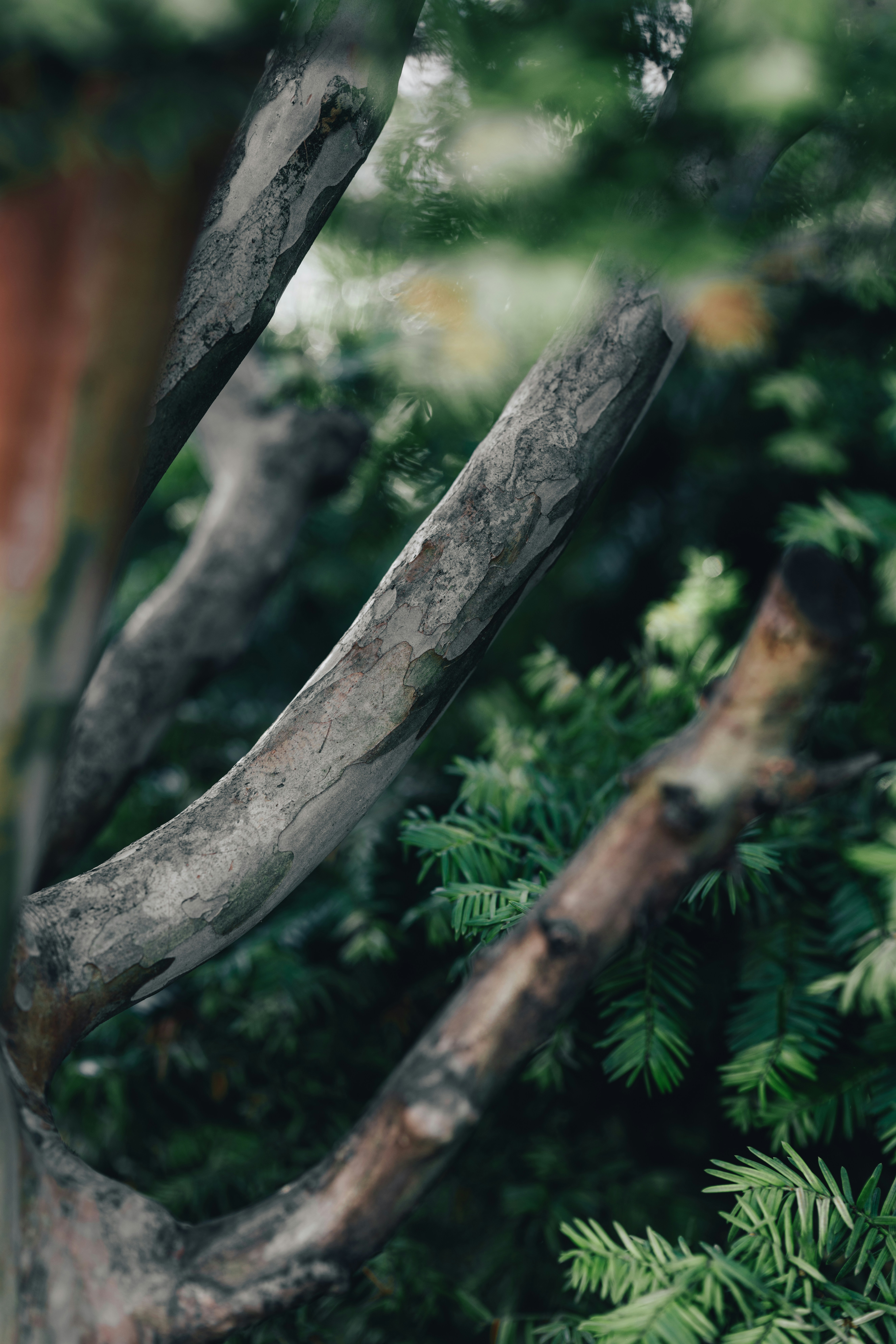 Photo by colemangloverphotography