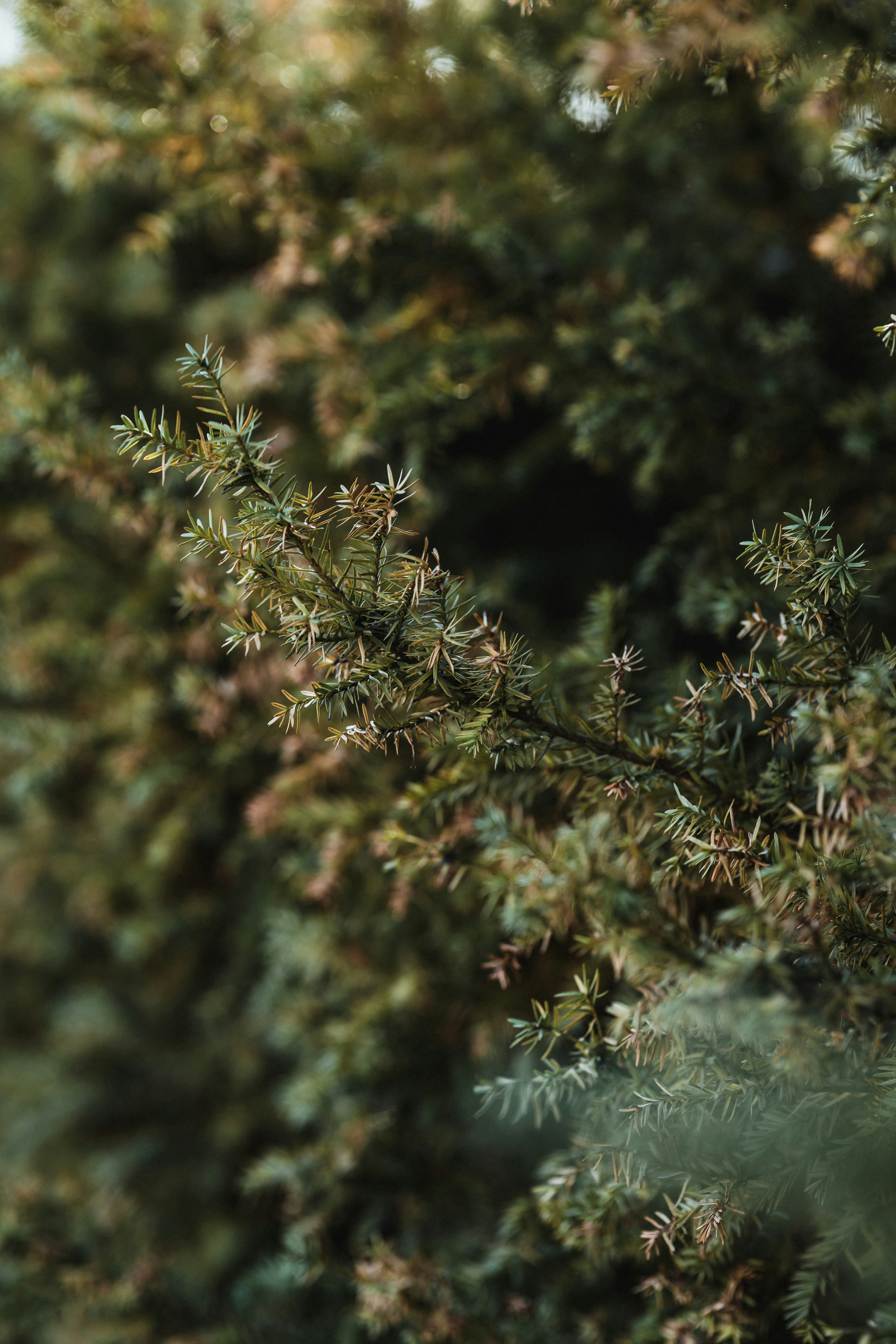 Photo by colemangloverphotography