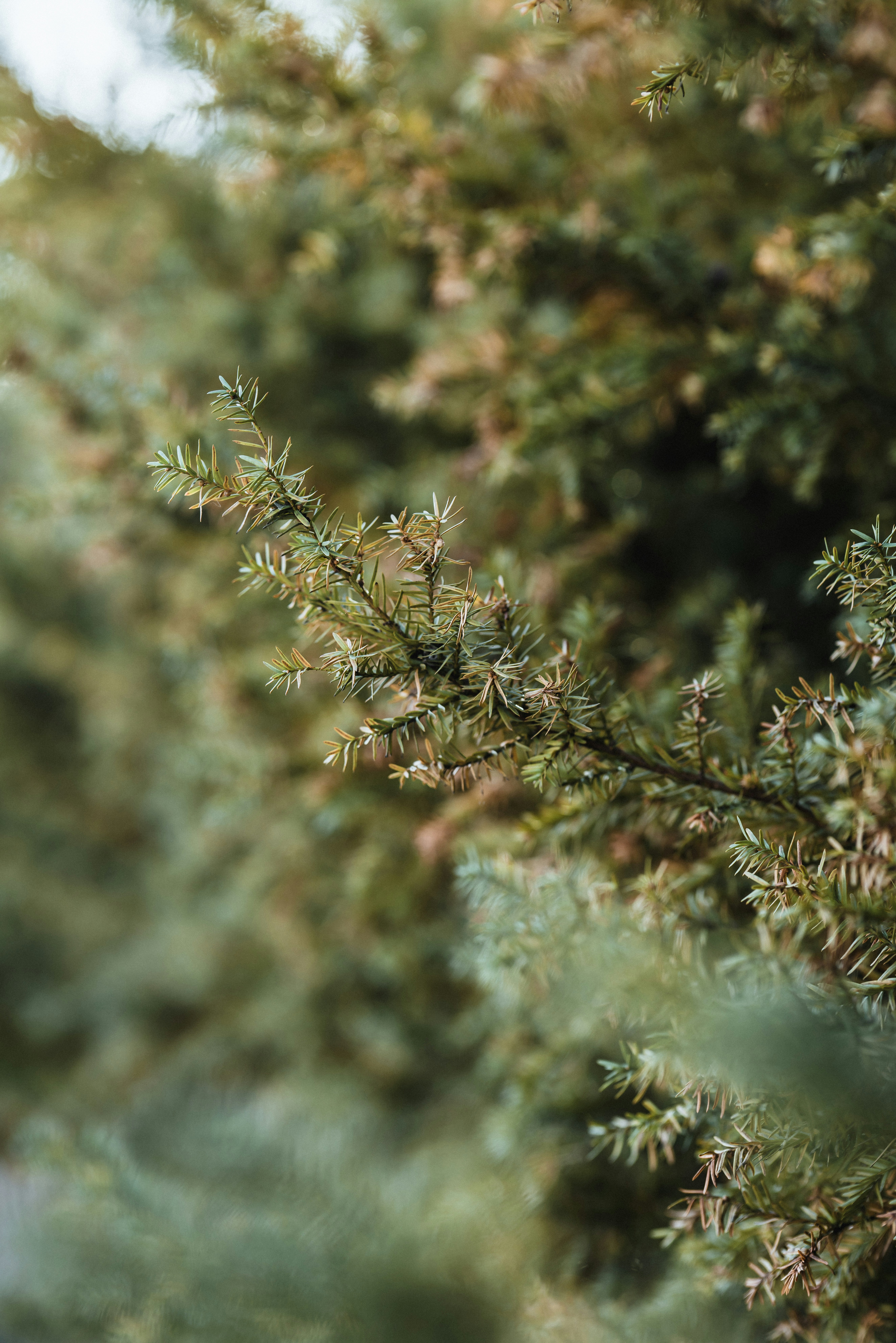 Photo by colemangloverphotography