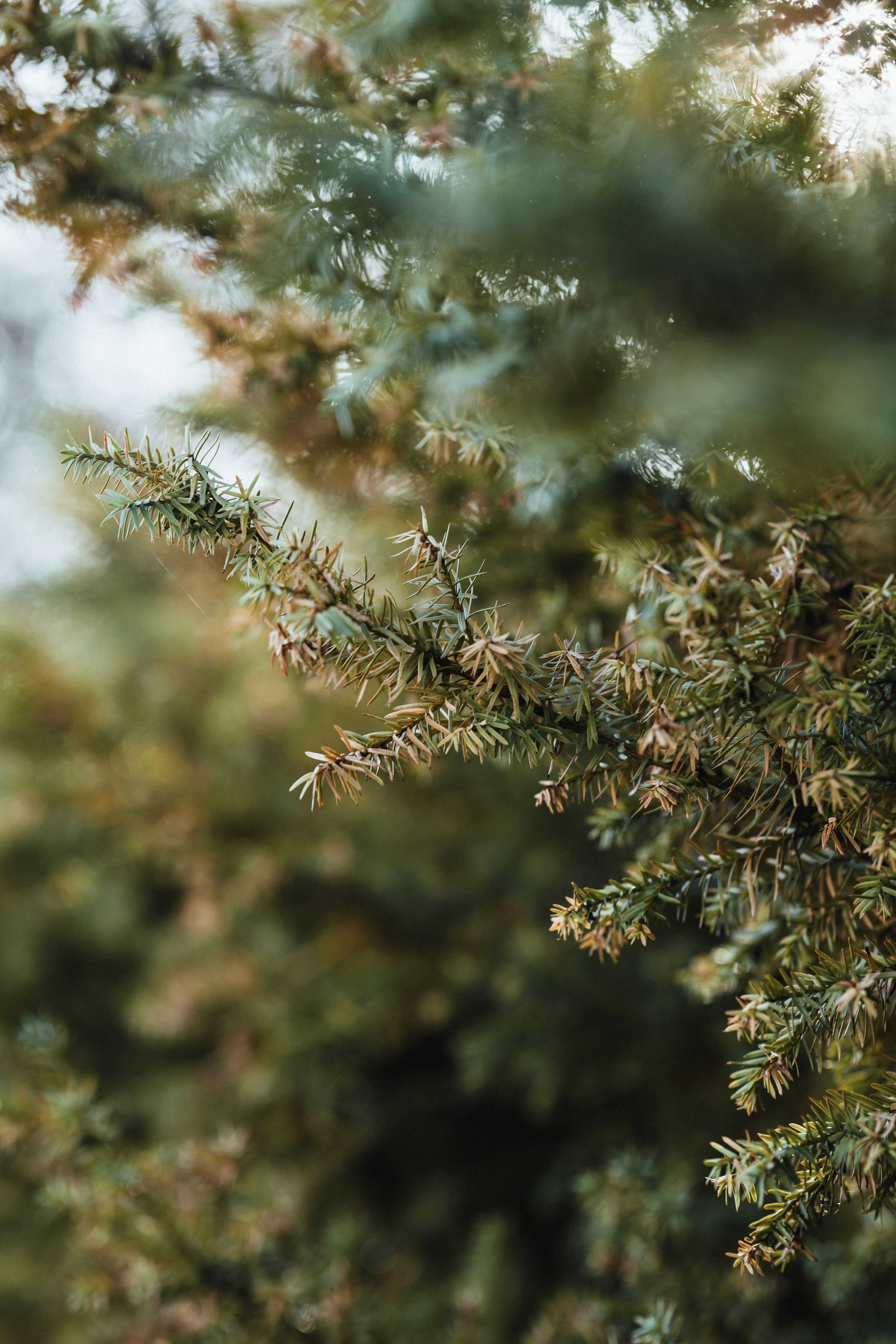 Photo by colemangloverphotography