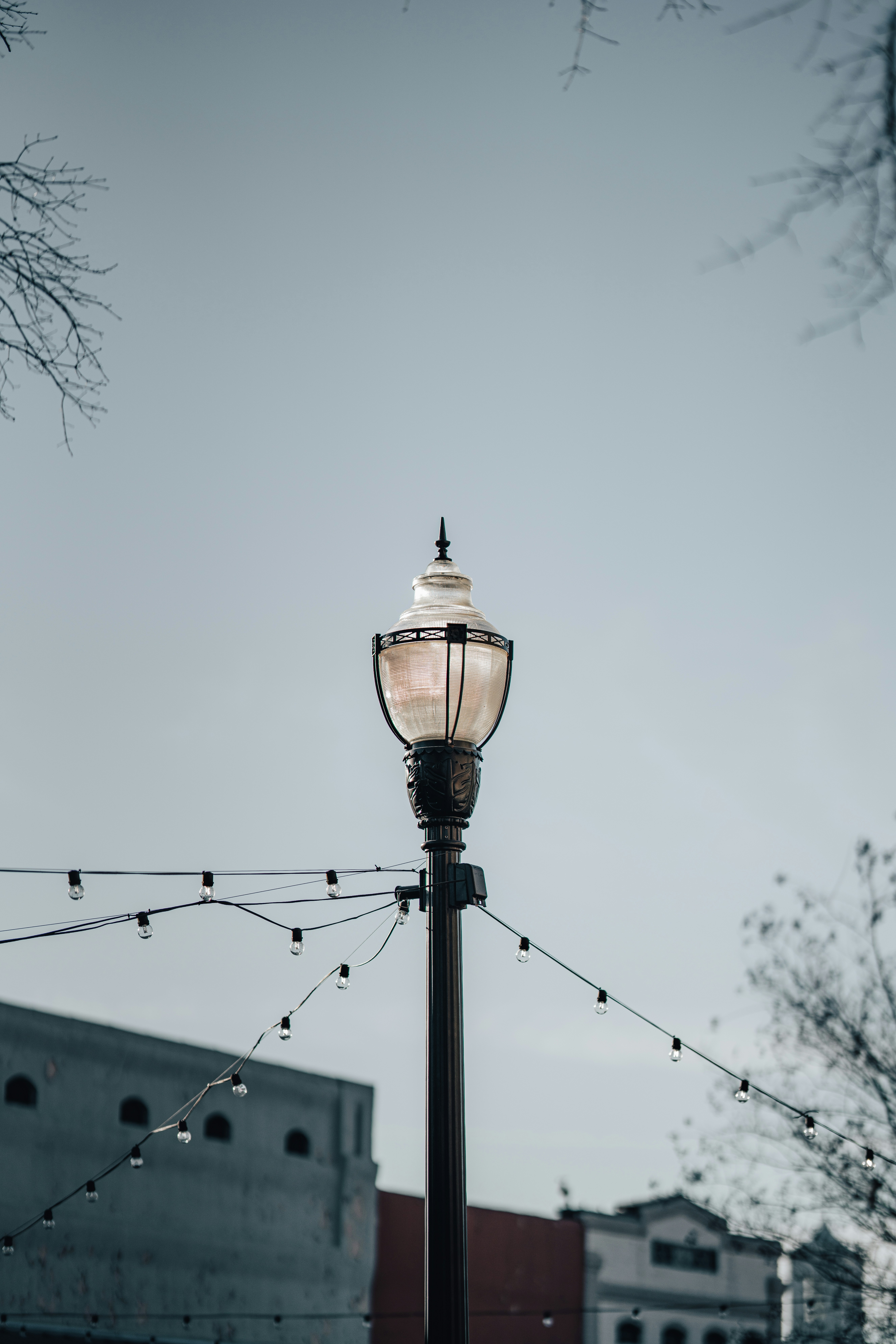 Photo by colemangloverphotography