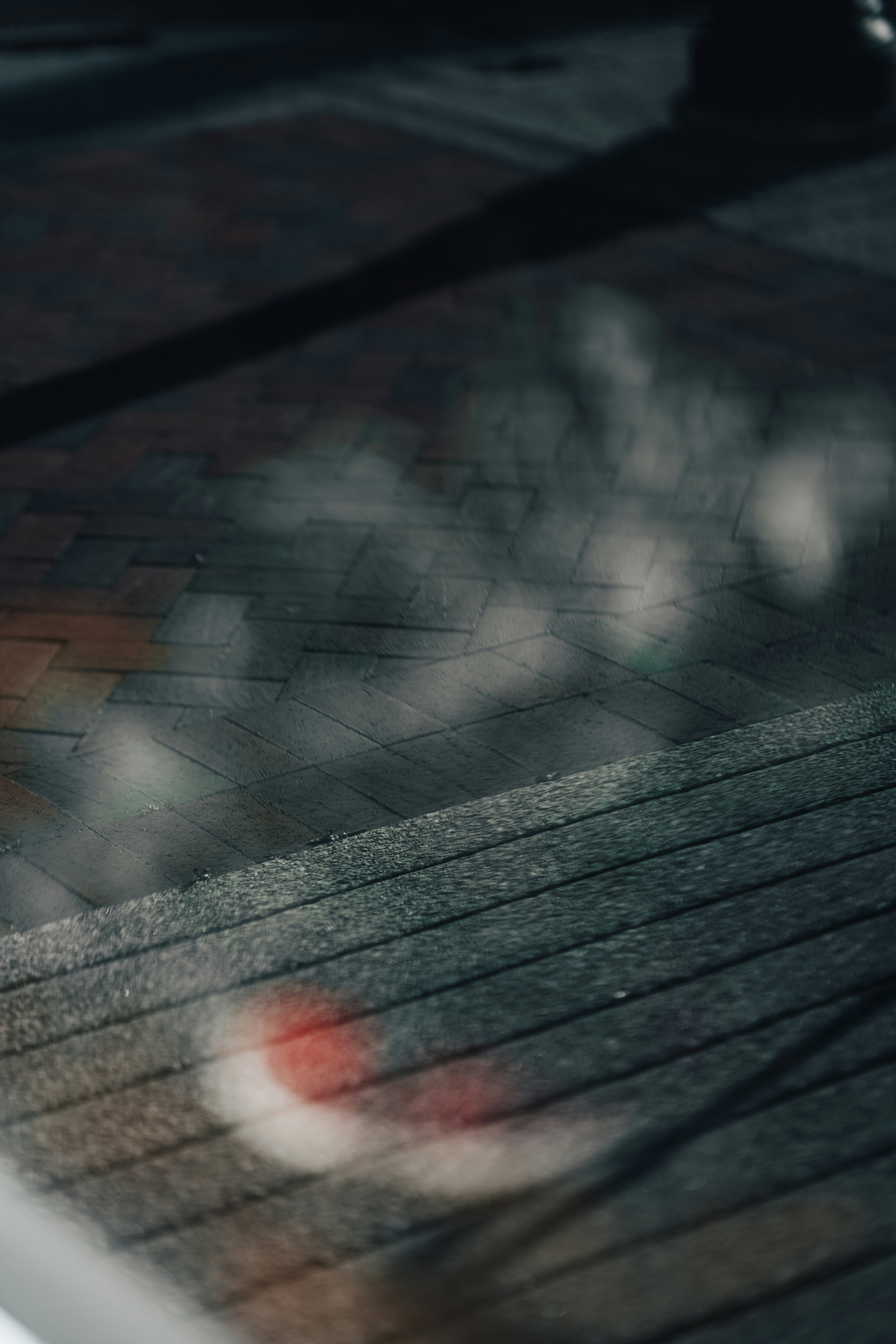 Photo by colemangloverphotography