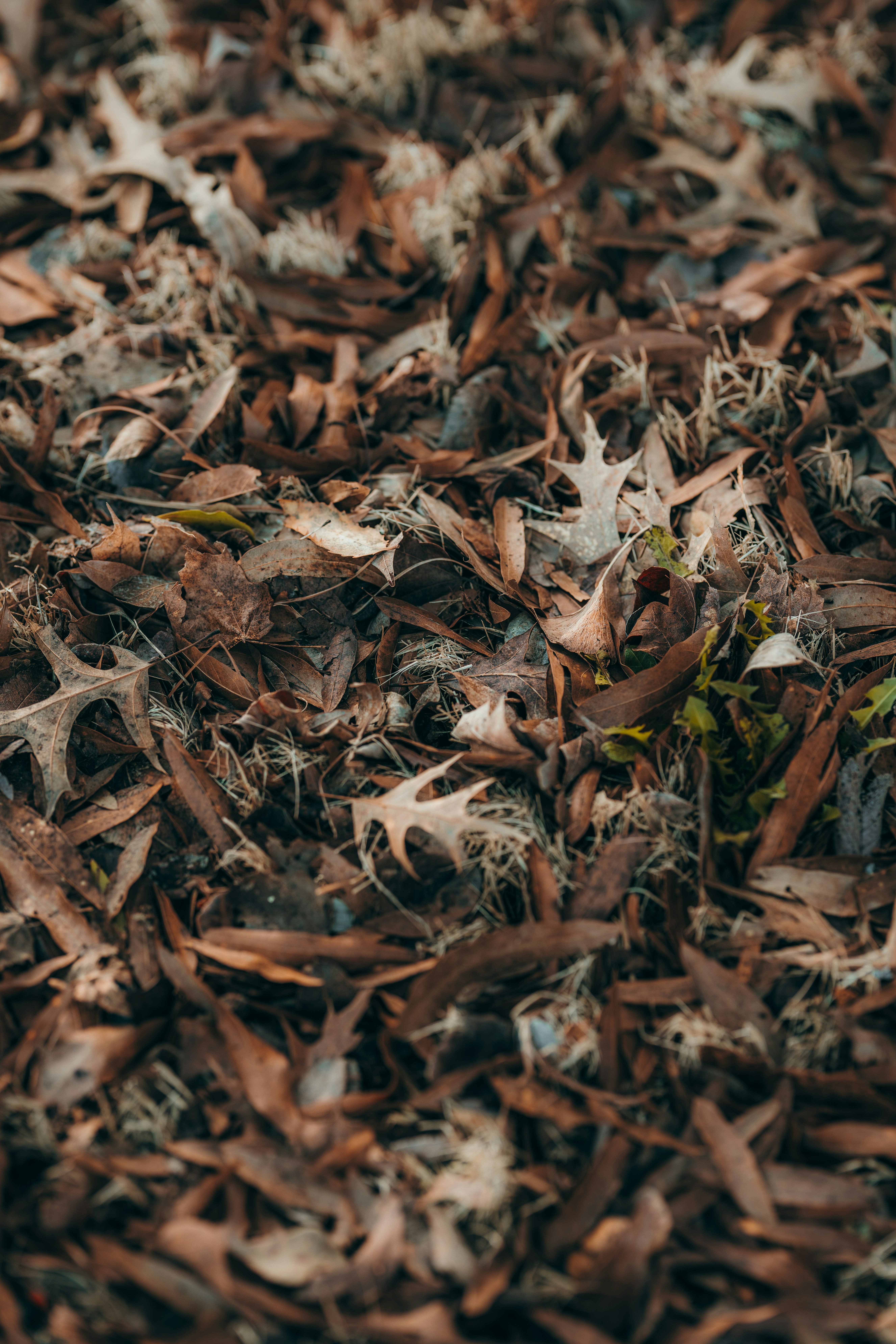 Photo by colemangloverphotography