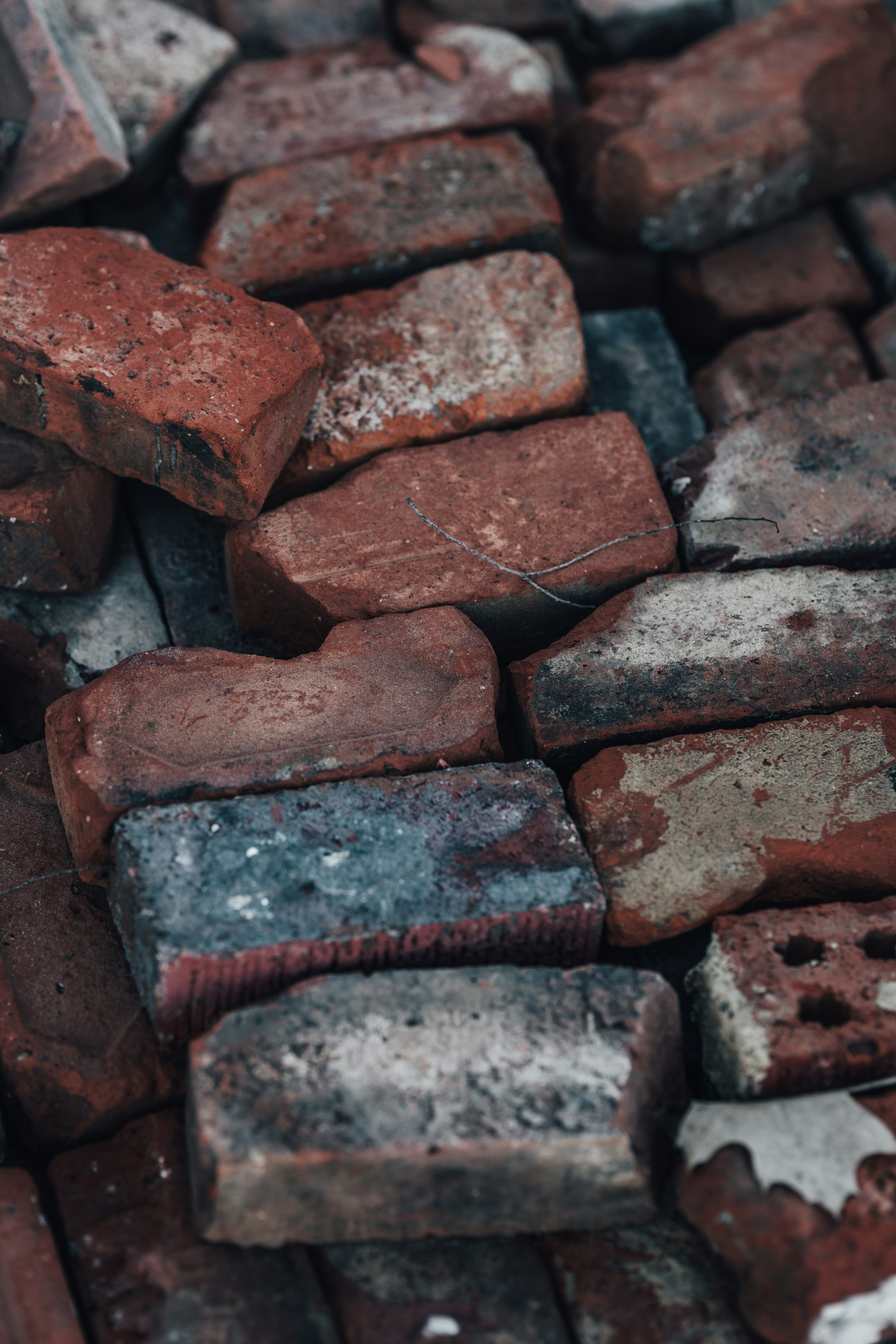 Photo by colemangloverphotography