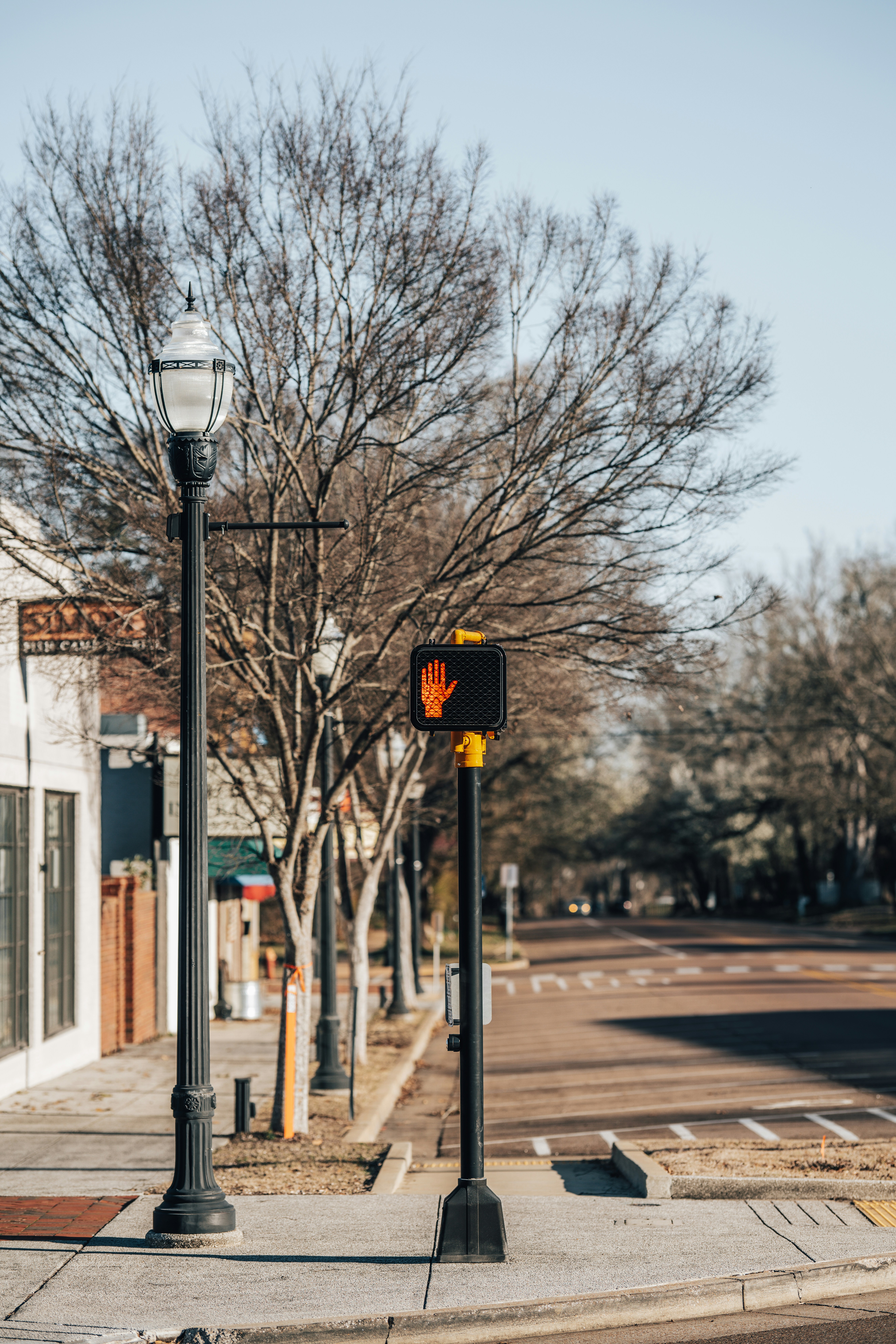 Photo by colemangloverphotography