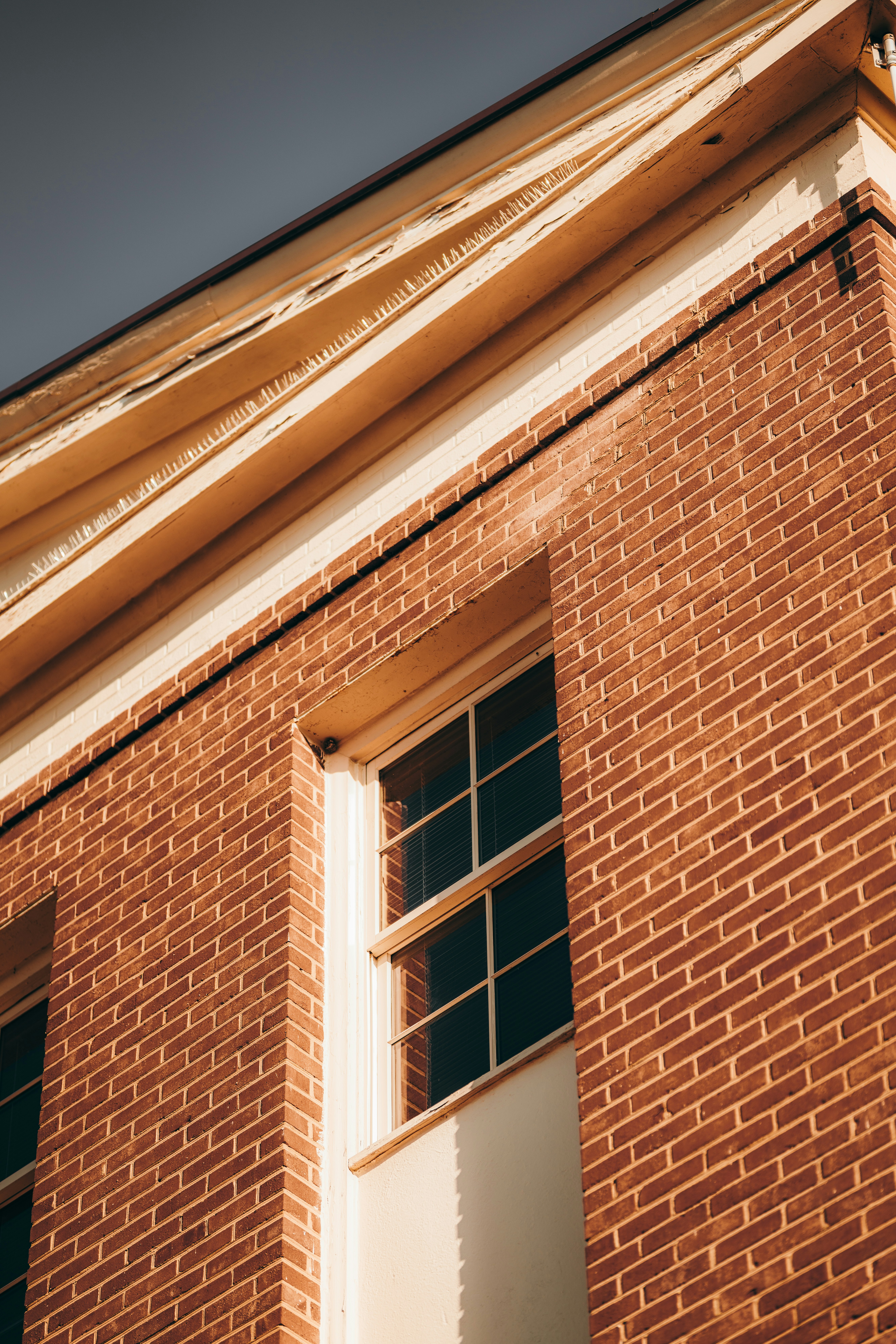 Photo by colemangloverphotography