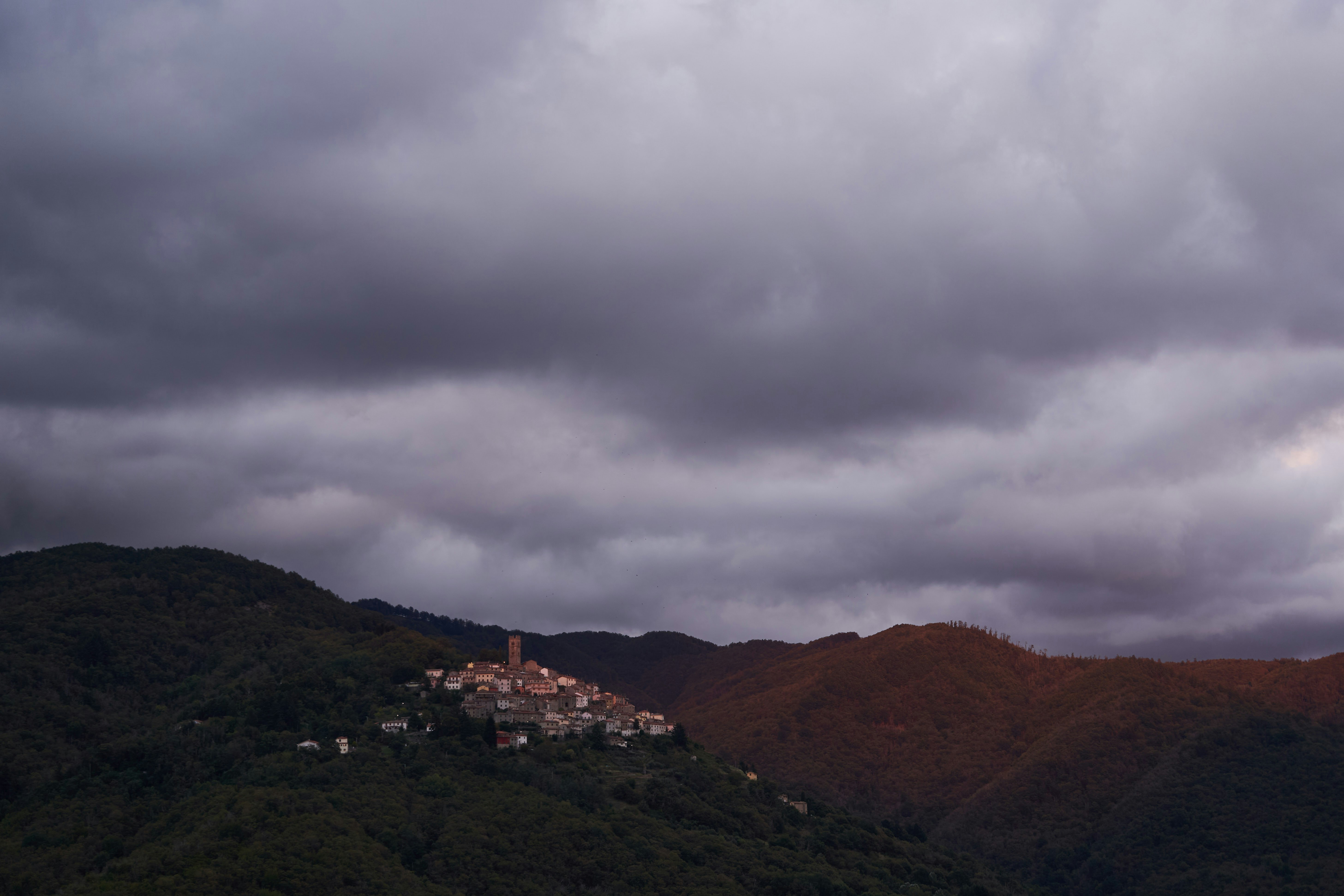 Photo by wolfgang_hasselmann