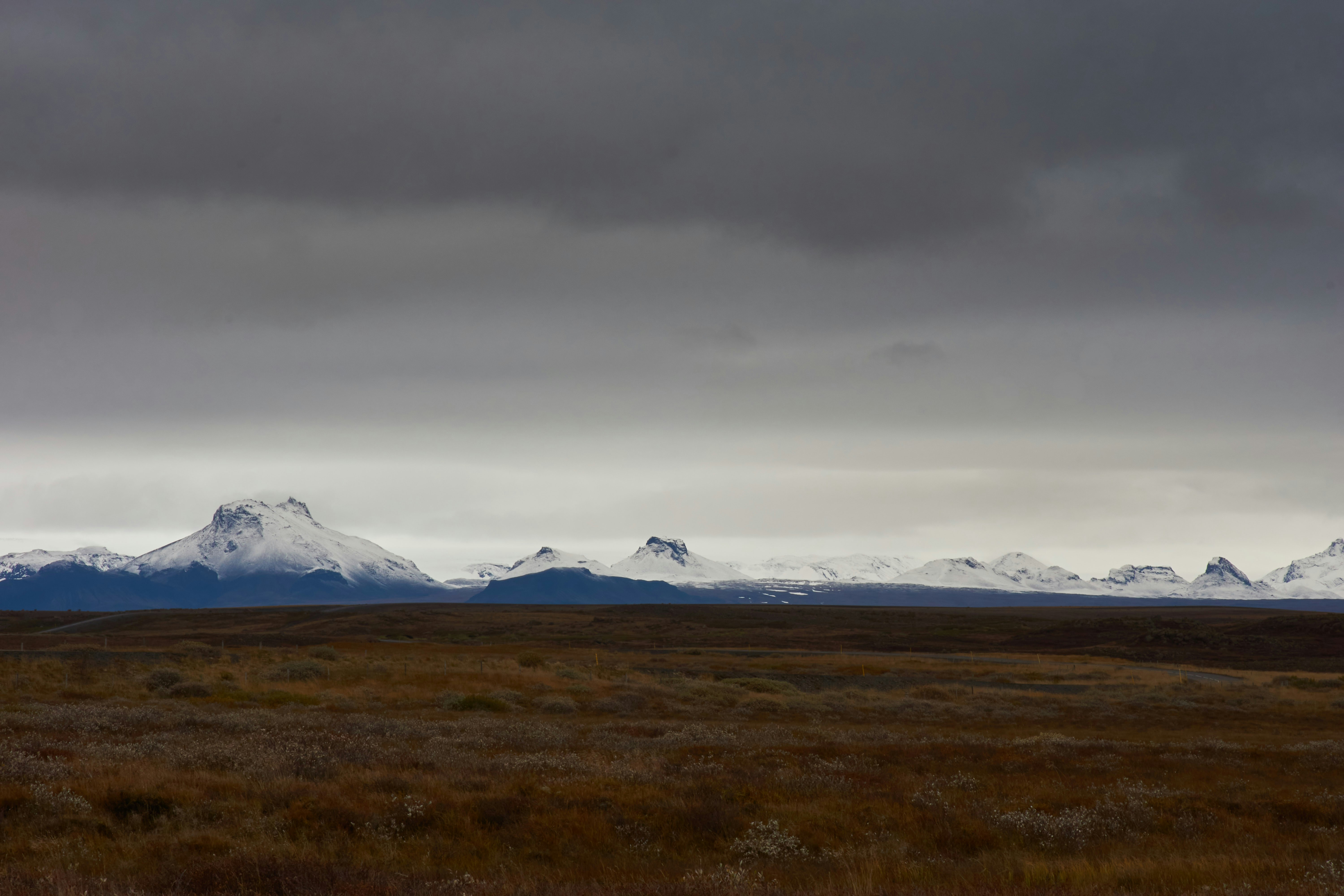 Photo by wolfgang_hasselmann