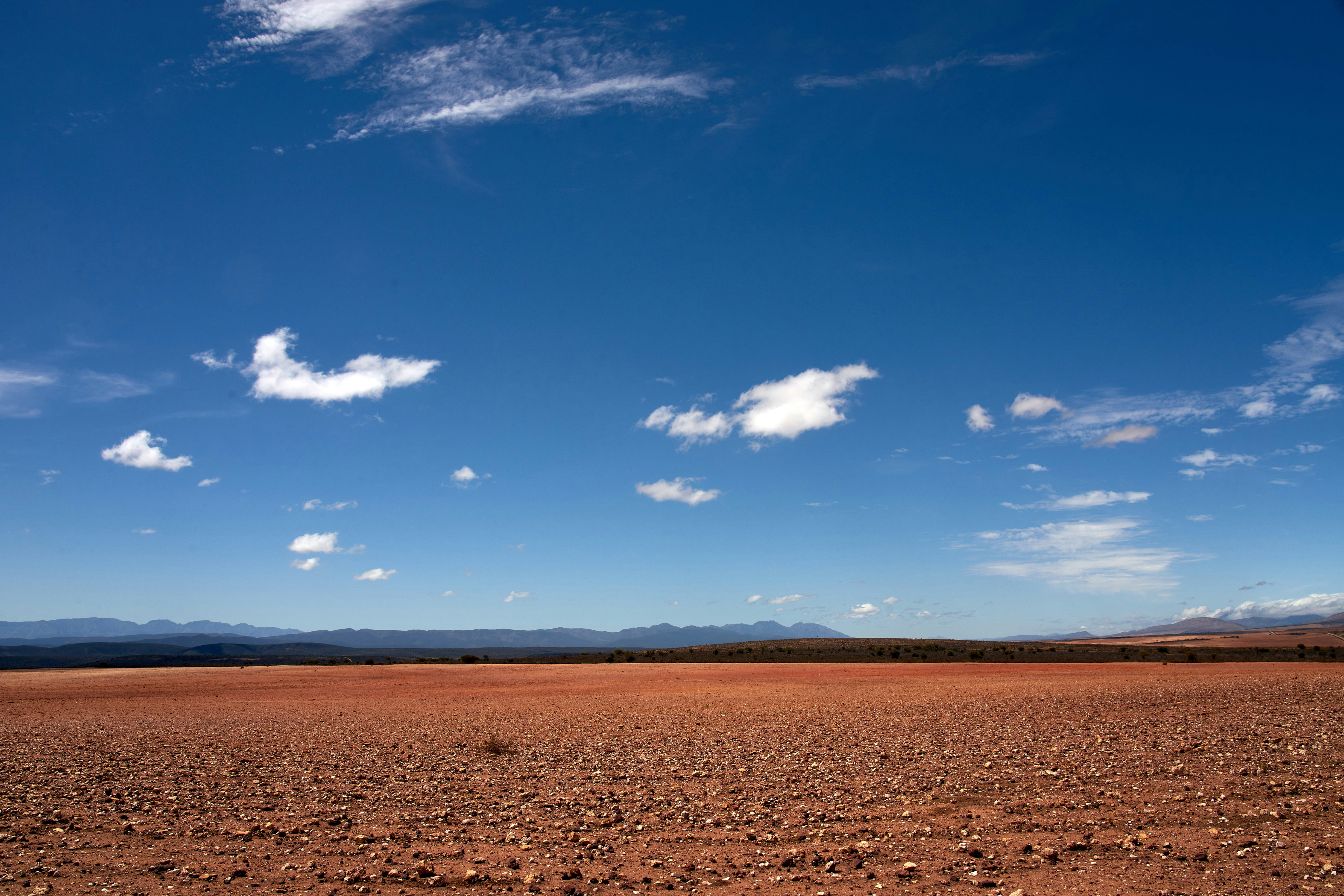 Photo by wolfgang_hasselmann