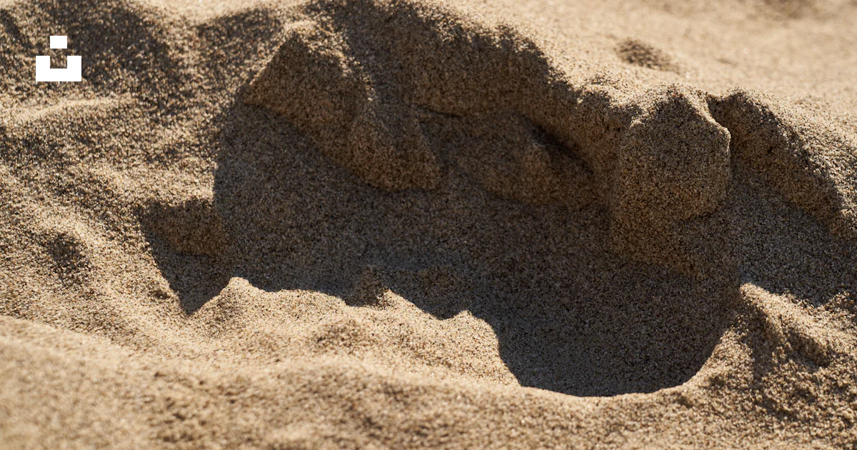 A close up of a rock in the sand photo – Free Nature Image on Unsplash