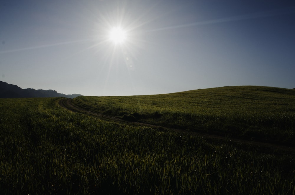 the sun is shining over a grassy hill