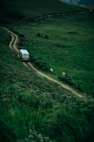 A scenic rural landscape with a narrow dirt road winding its way through lush green fields. A small bus is driving on the road, heading into the distance. Two sheep are grazing near the side of the road. The area is surrounded by dense greenery and rolling hills under a cloudy sky.