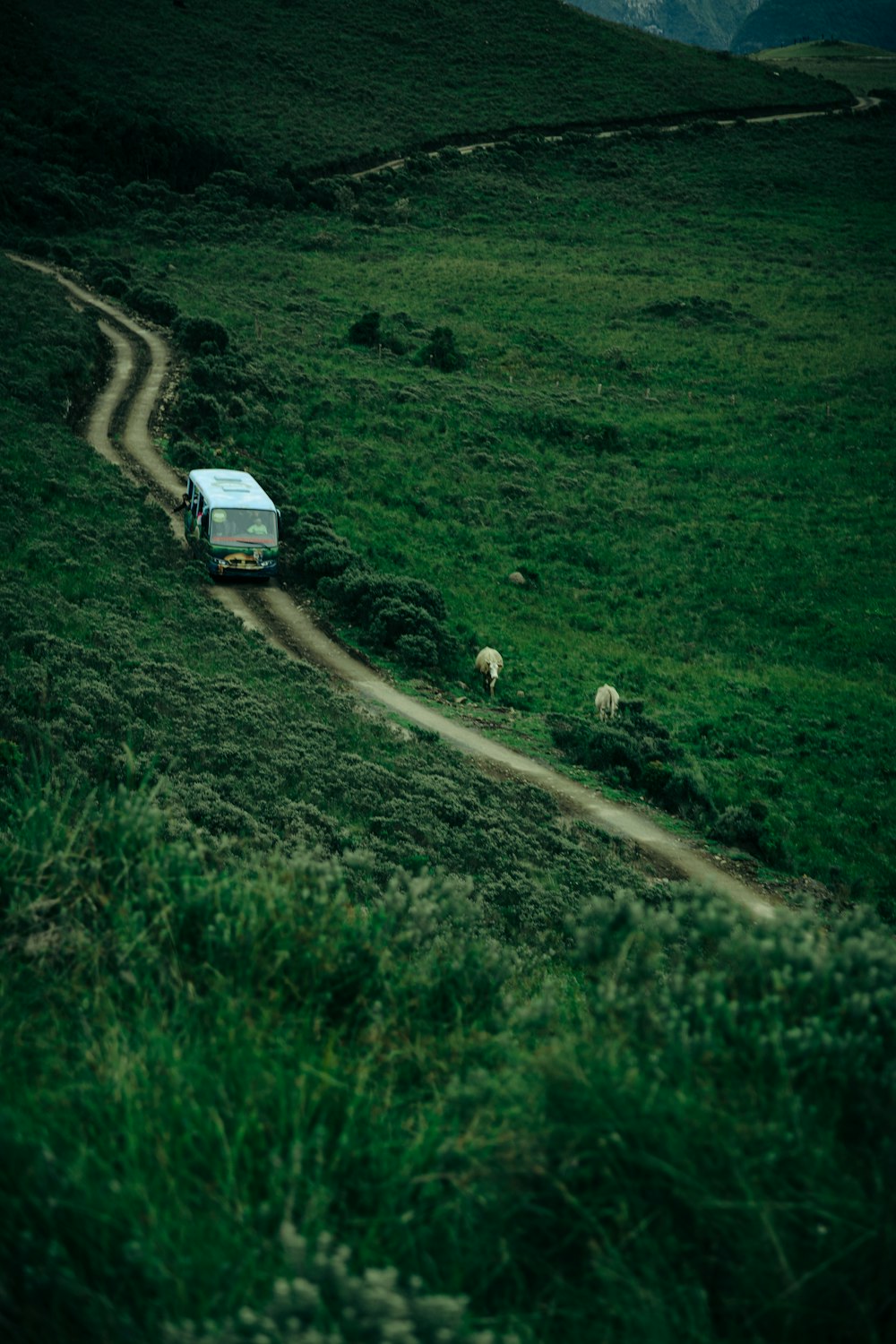 a truck driving down a dirt road through a lush green field