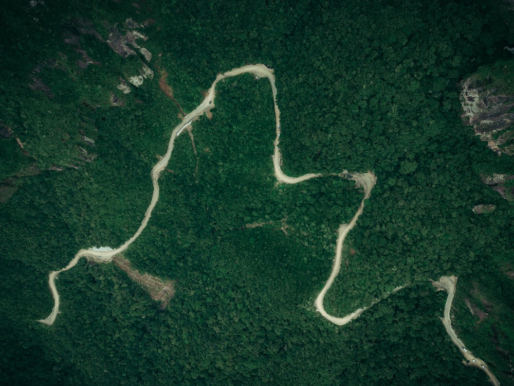 an aerial view of a river running through a forest