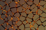 A complex, abstract pattern featuring black and orange interlocking organic shapes. The design is reflective, resembling a web or network of strands.