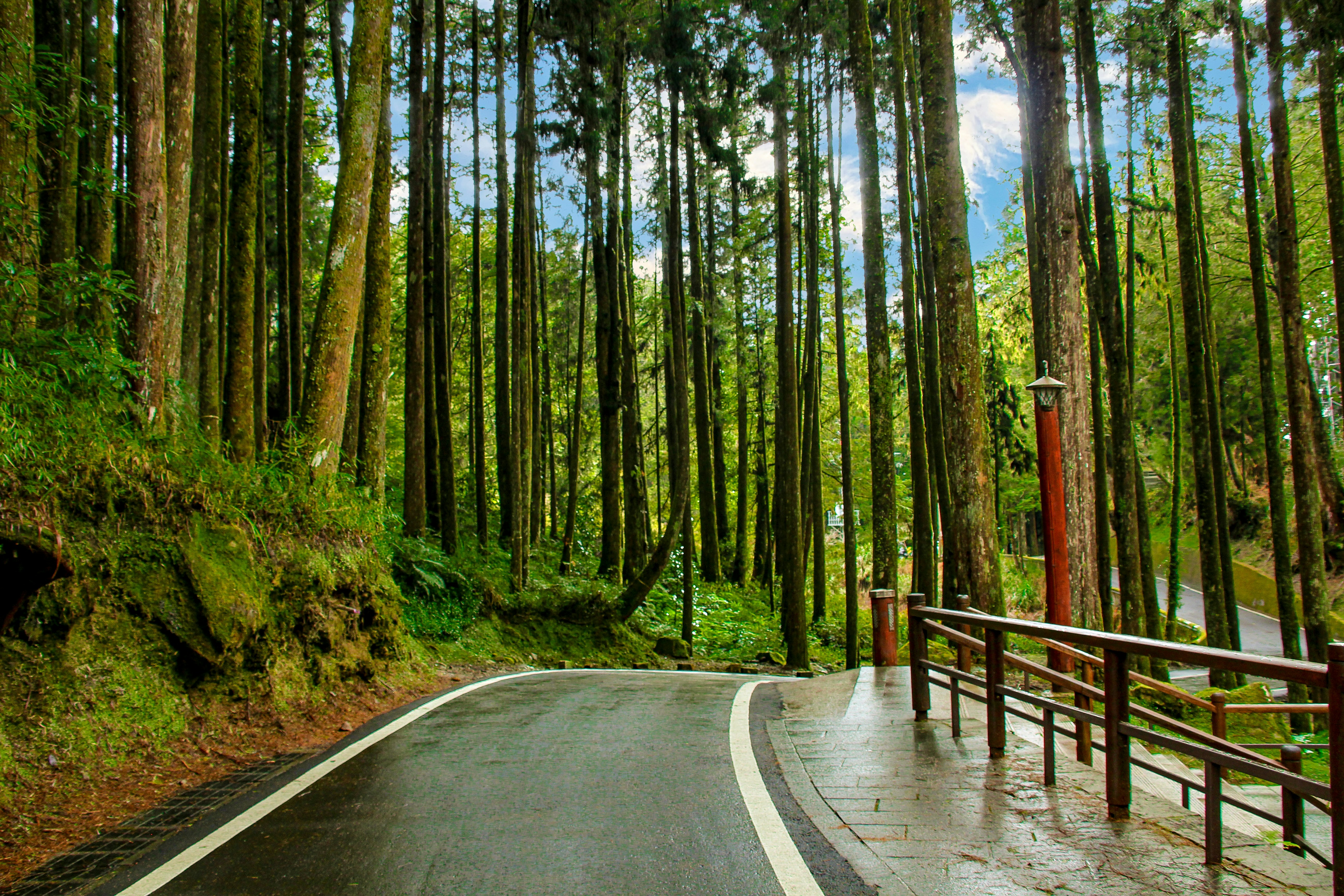 Photo by rickyrynselo