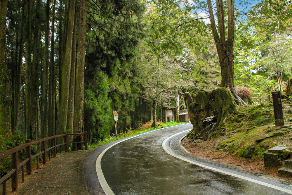a curved road in the middle of a forest