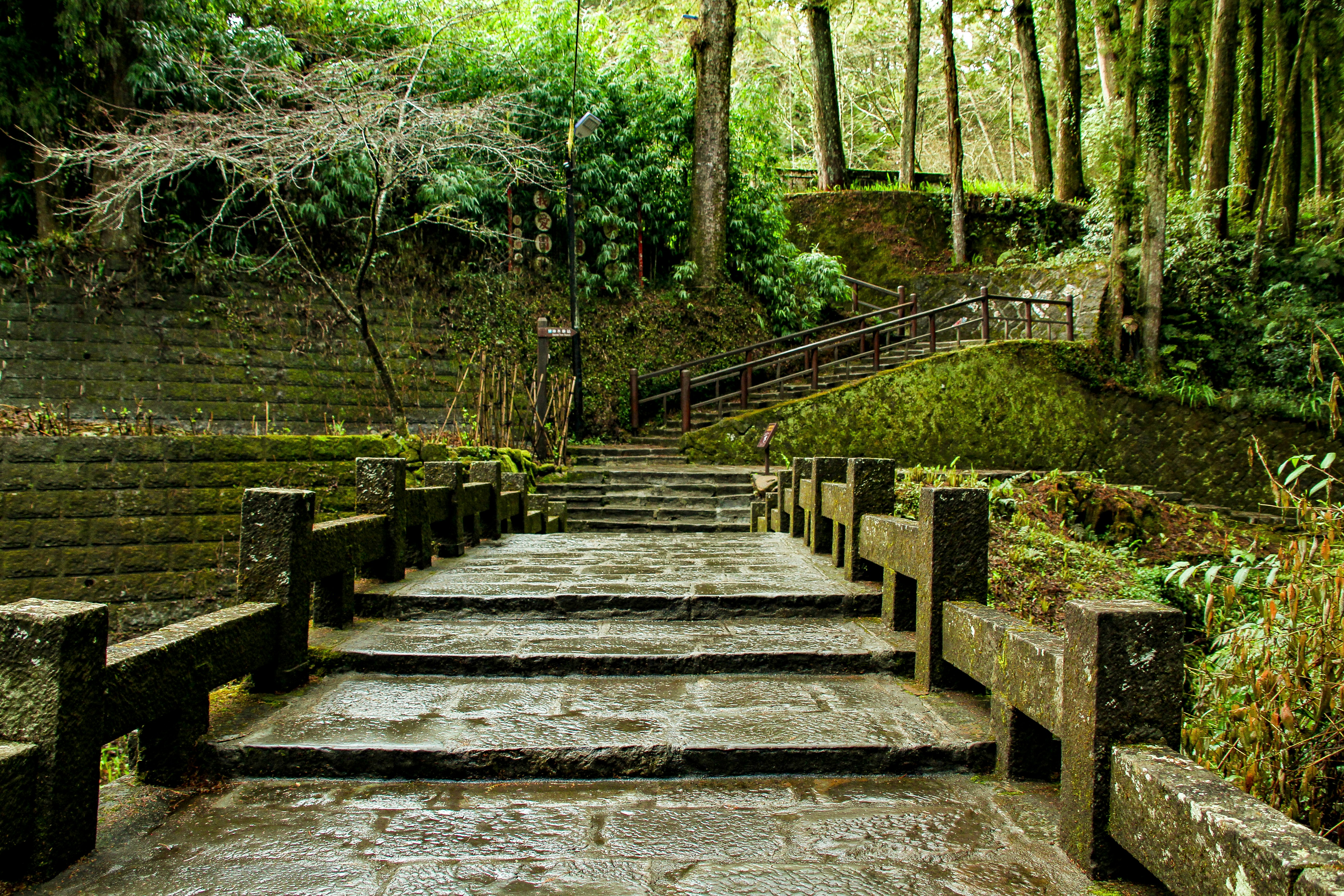 Photo by rickyrynselo