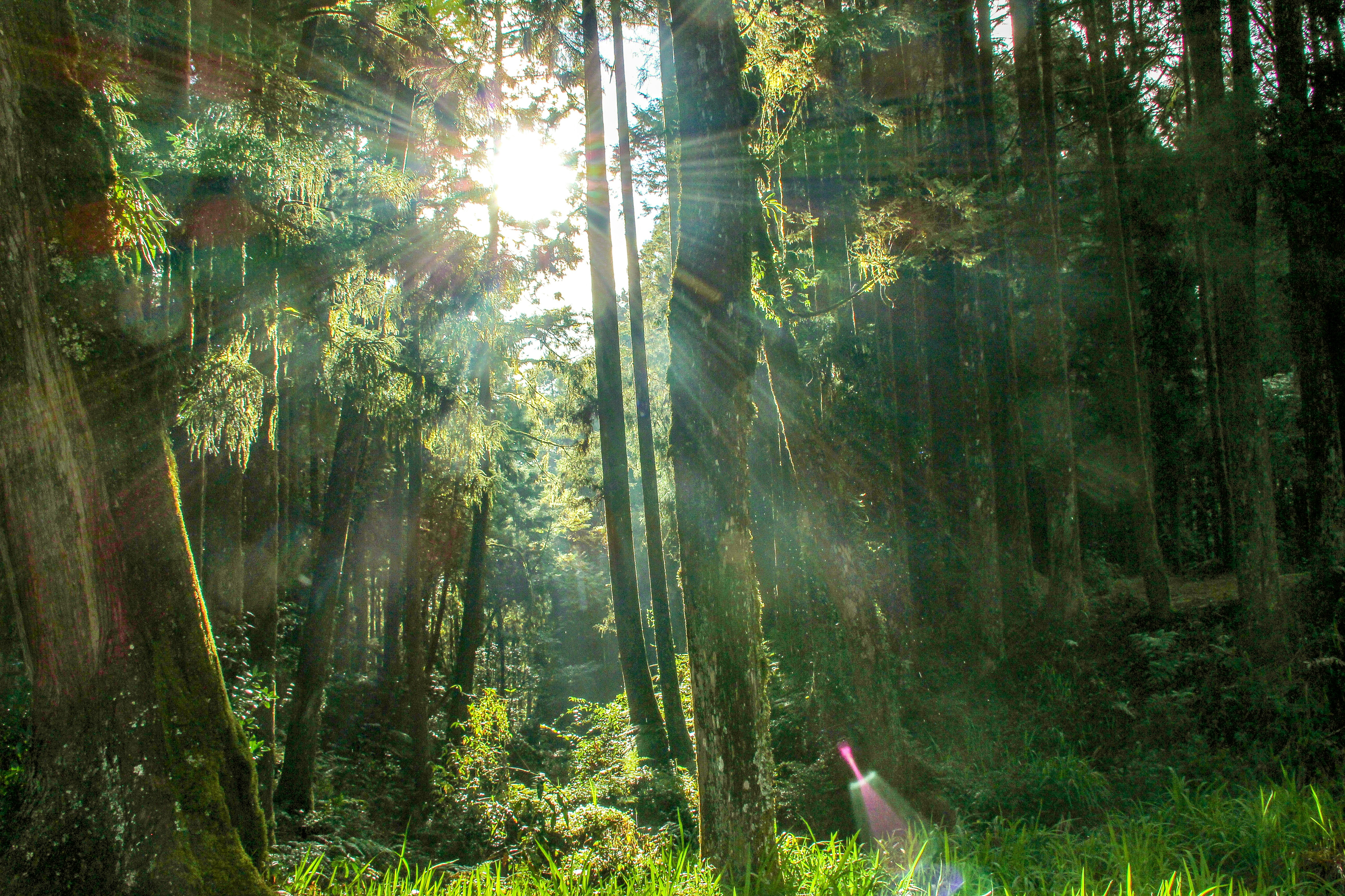 Photo by rickyrynselo