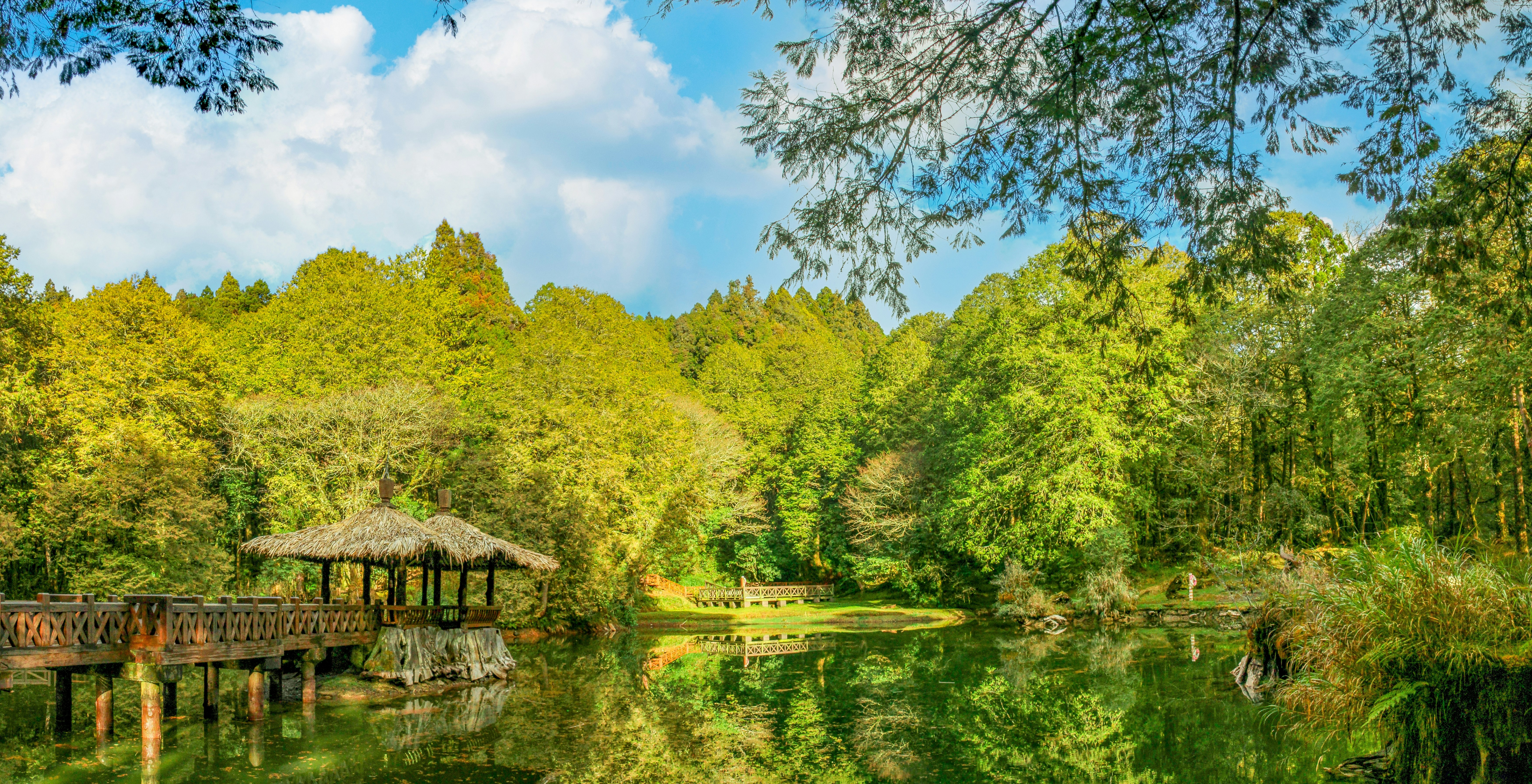 Photo by rickyrynselo