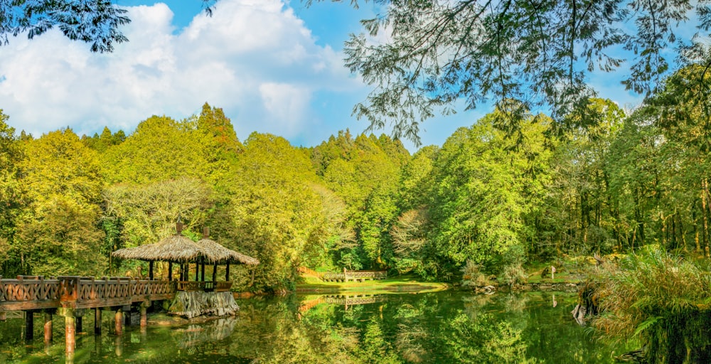 a wooden bridge over a lake surrounded by trees