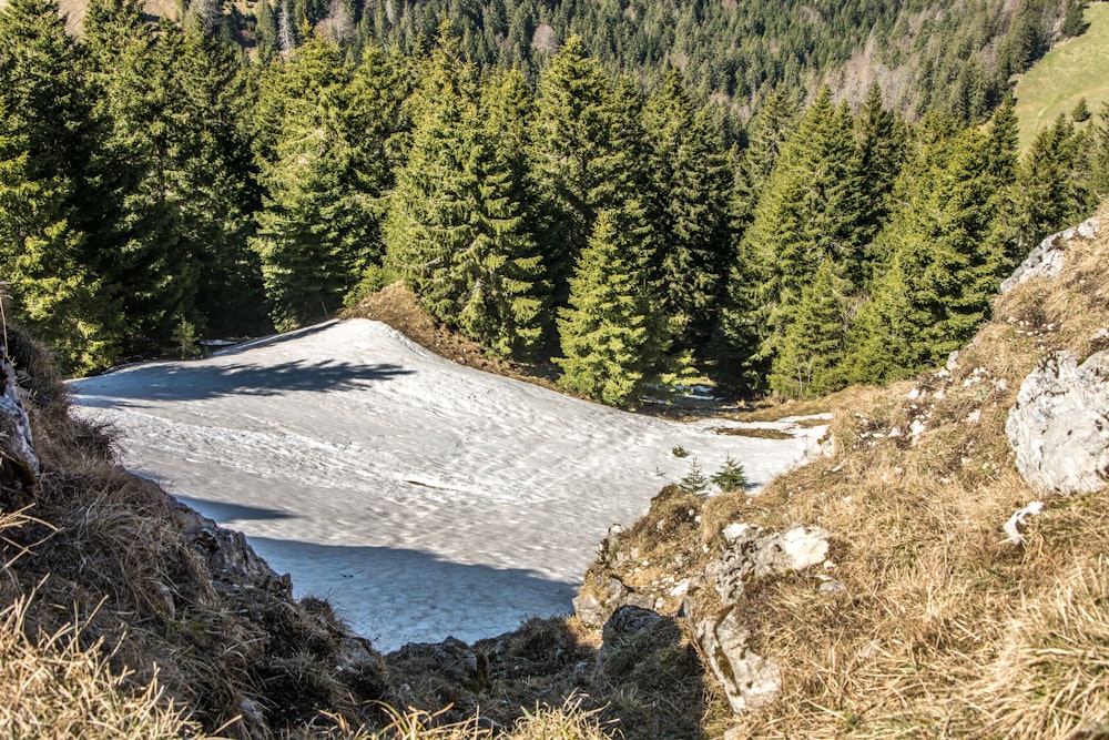 a snow covered hill with trees in the background