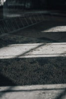 A serene outdoor scene captured with natural light, emphasizing composition and mood.