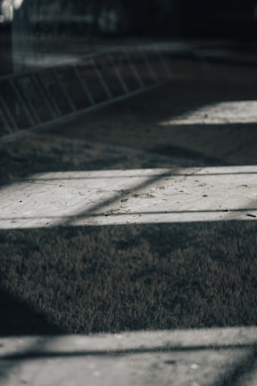 A serene outdoor shot capturing natural light and shadows from a recent photography session.