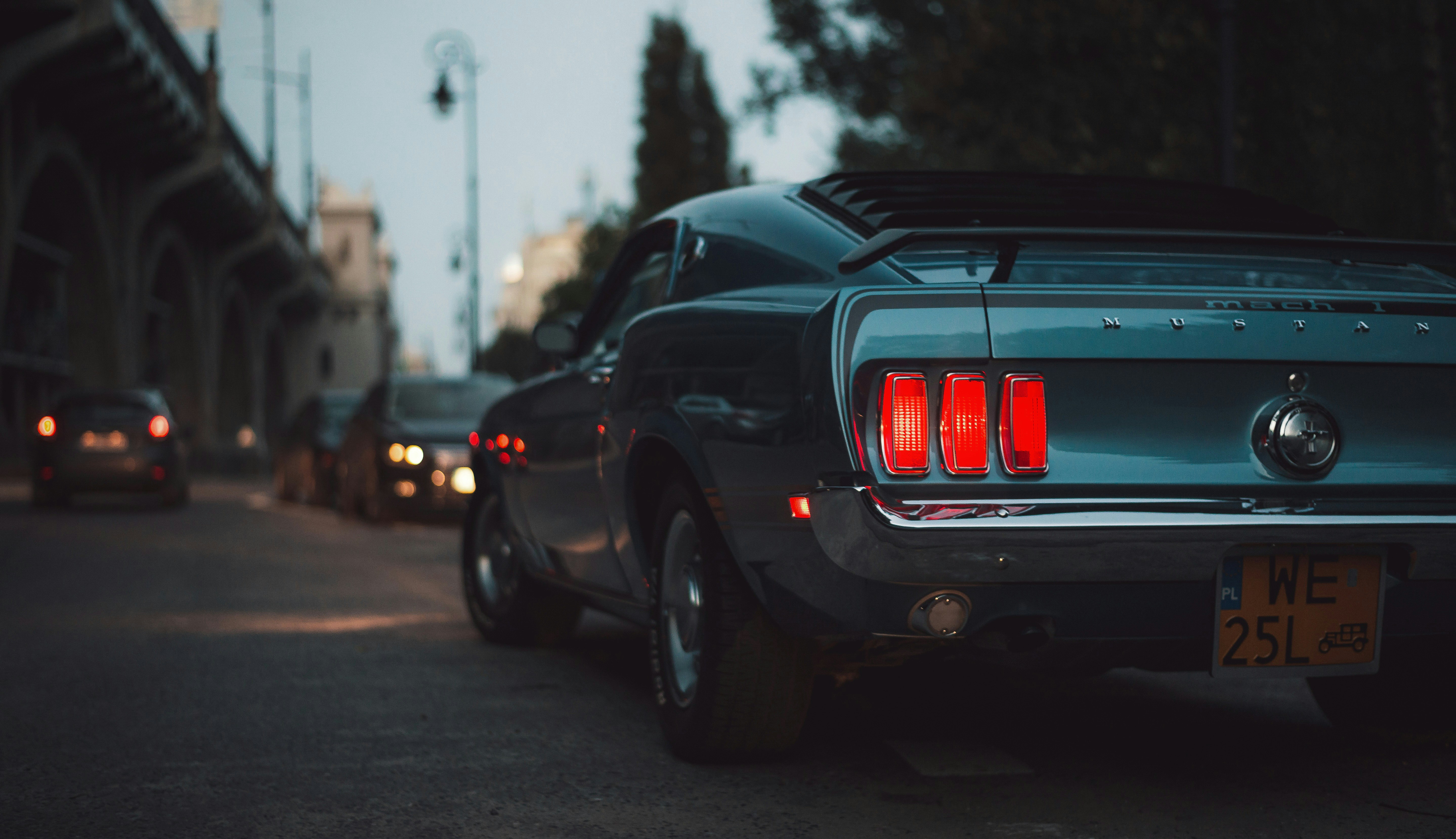 Photo by damian_ochrymowicz