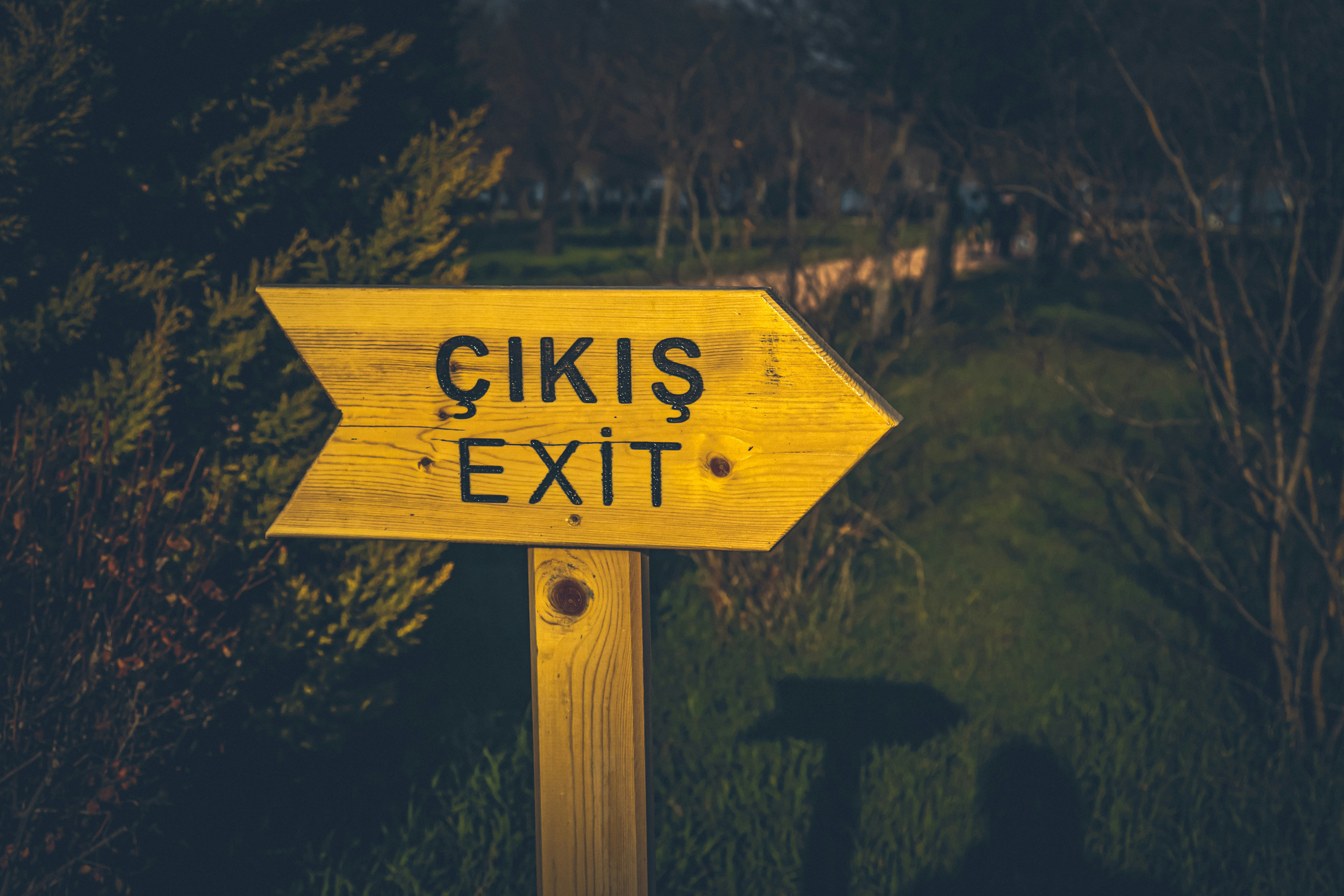 a wooden sign pointing to the right with the words gikis exit written on it