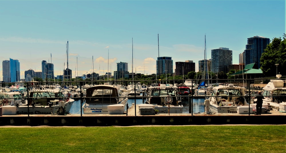 a marina filled with lots of boats next to tall buildings