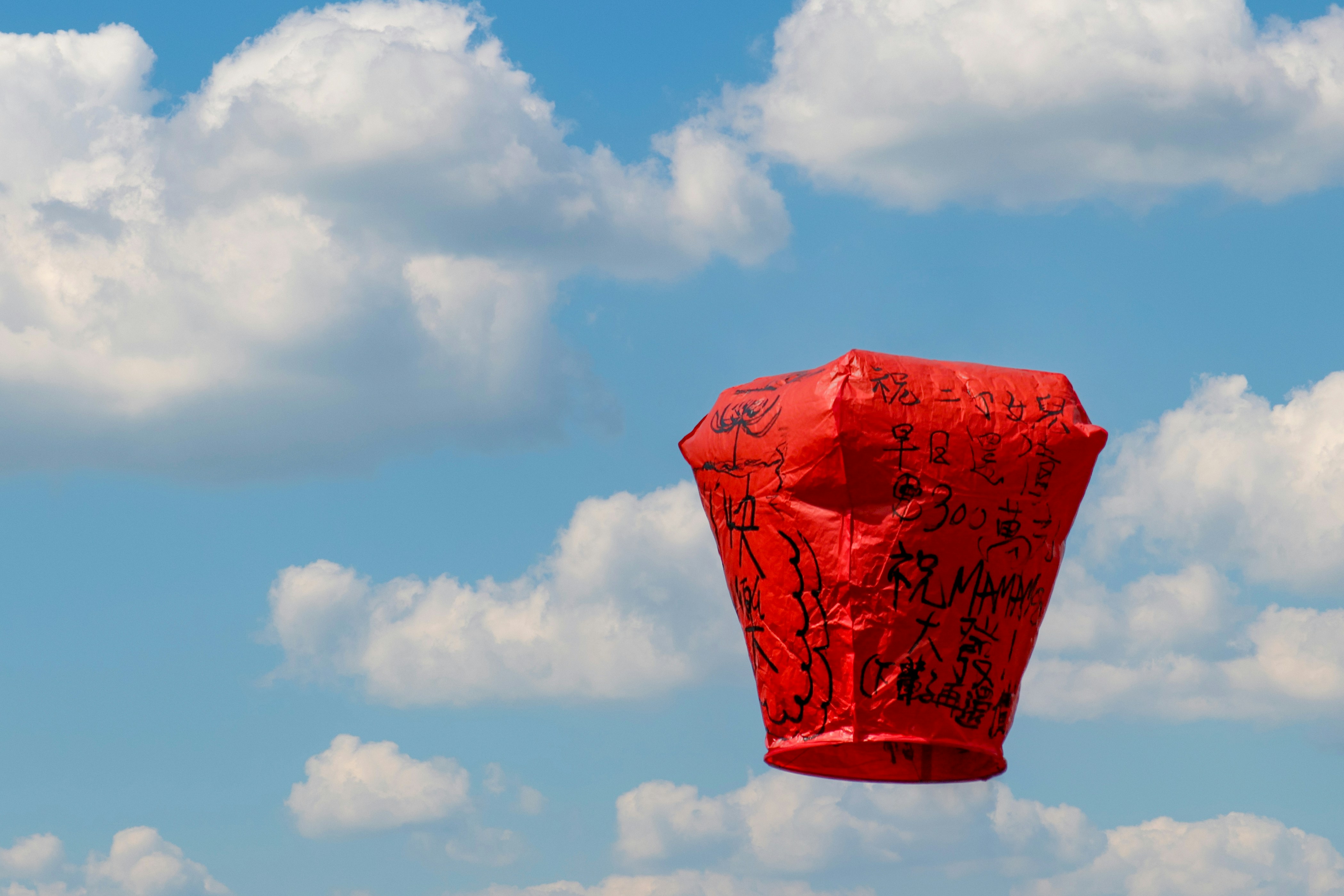 ein Rotmilan mit Schriftzug am Himmel