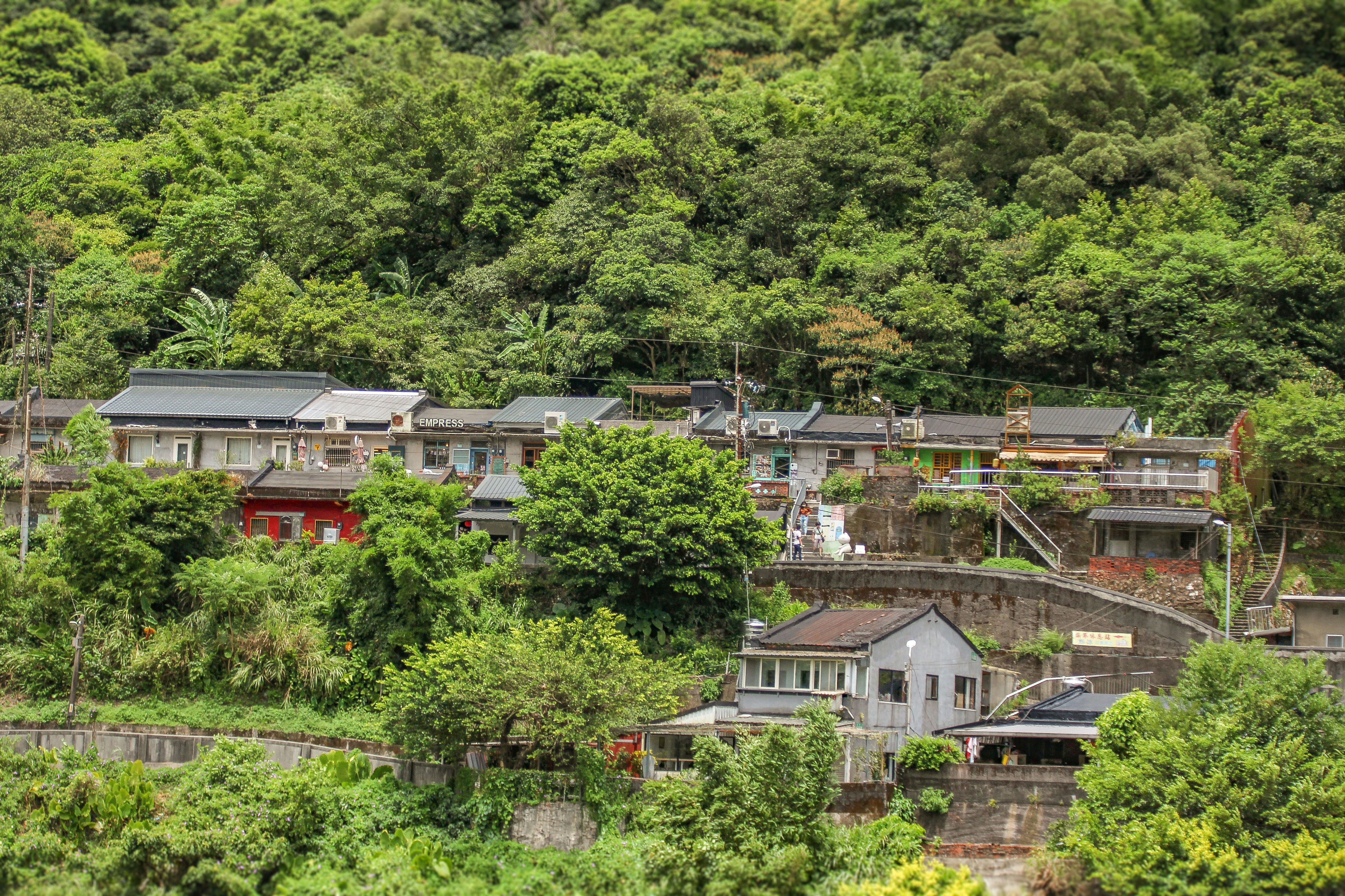 Photo by rickyrynselo