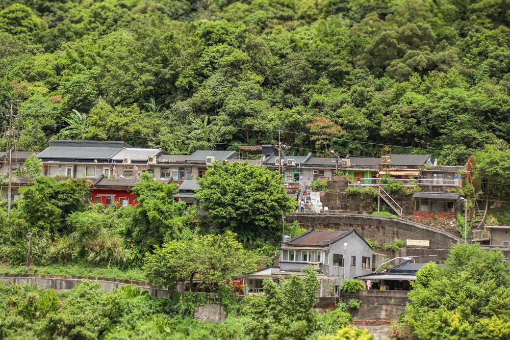 um grupo de casas sentadas no topo de uma encosta verde exuberante
