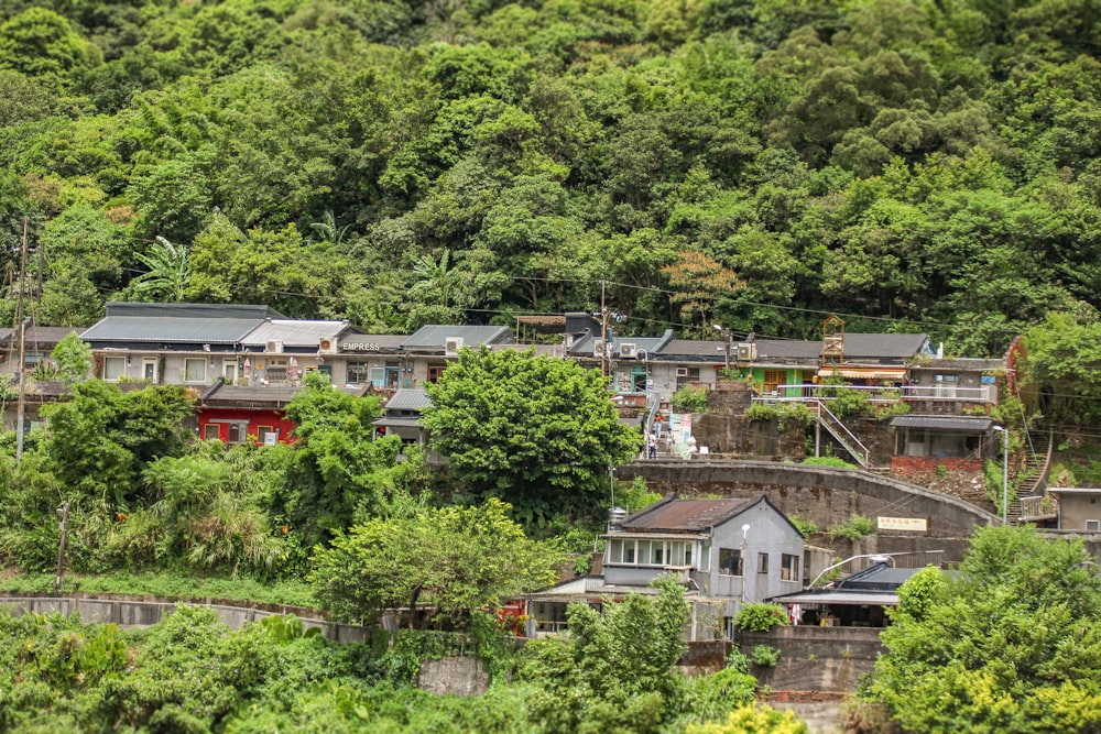 a group of houses sitting on top of a lush green hillside