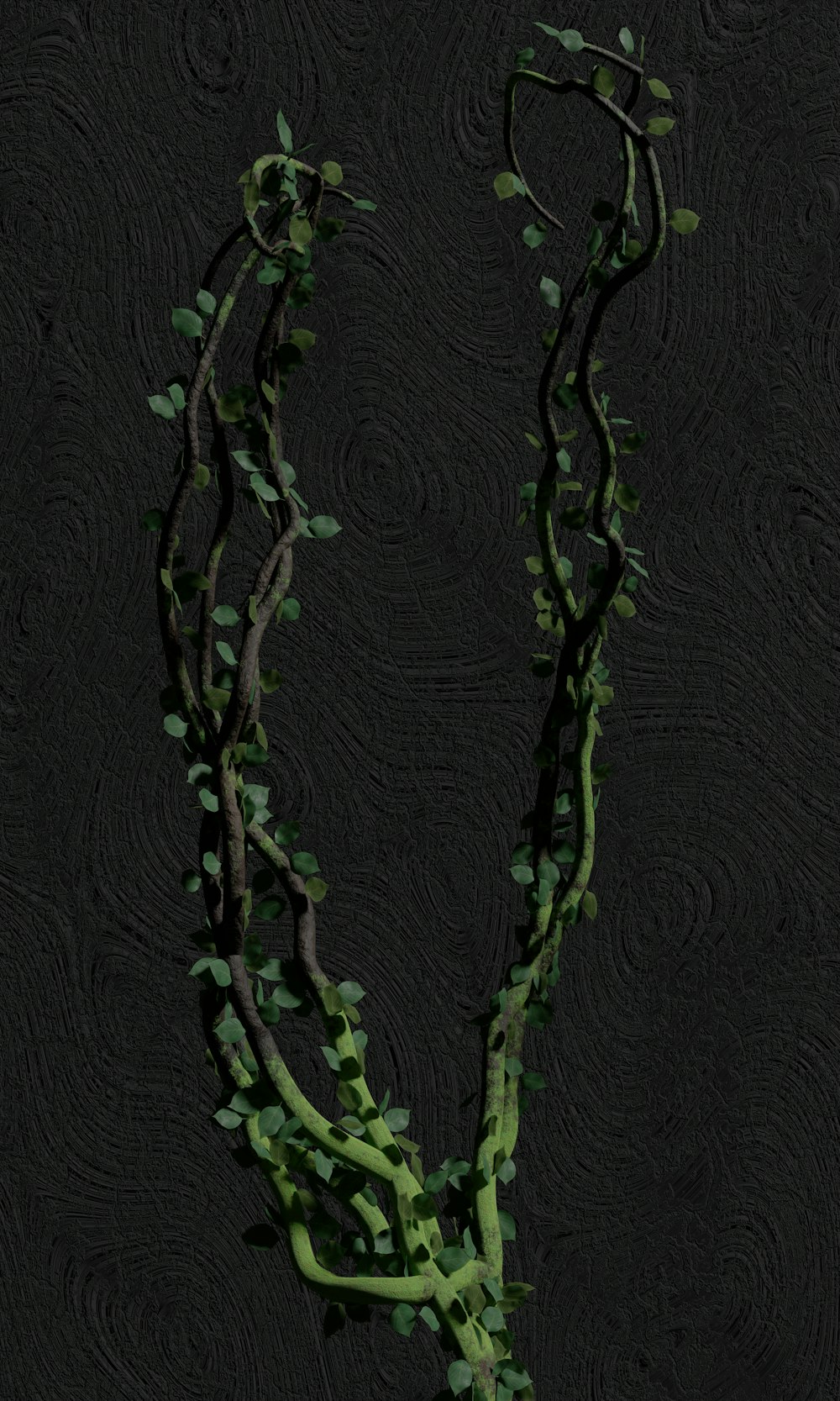 a plant with green leaves on a black background