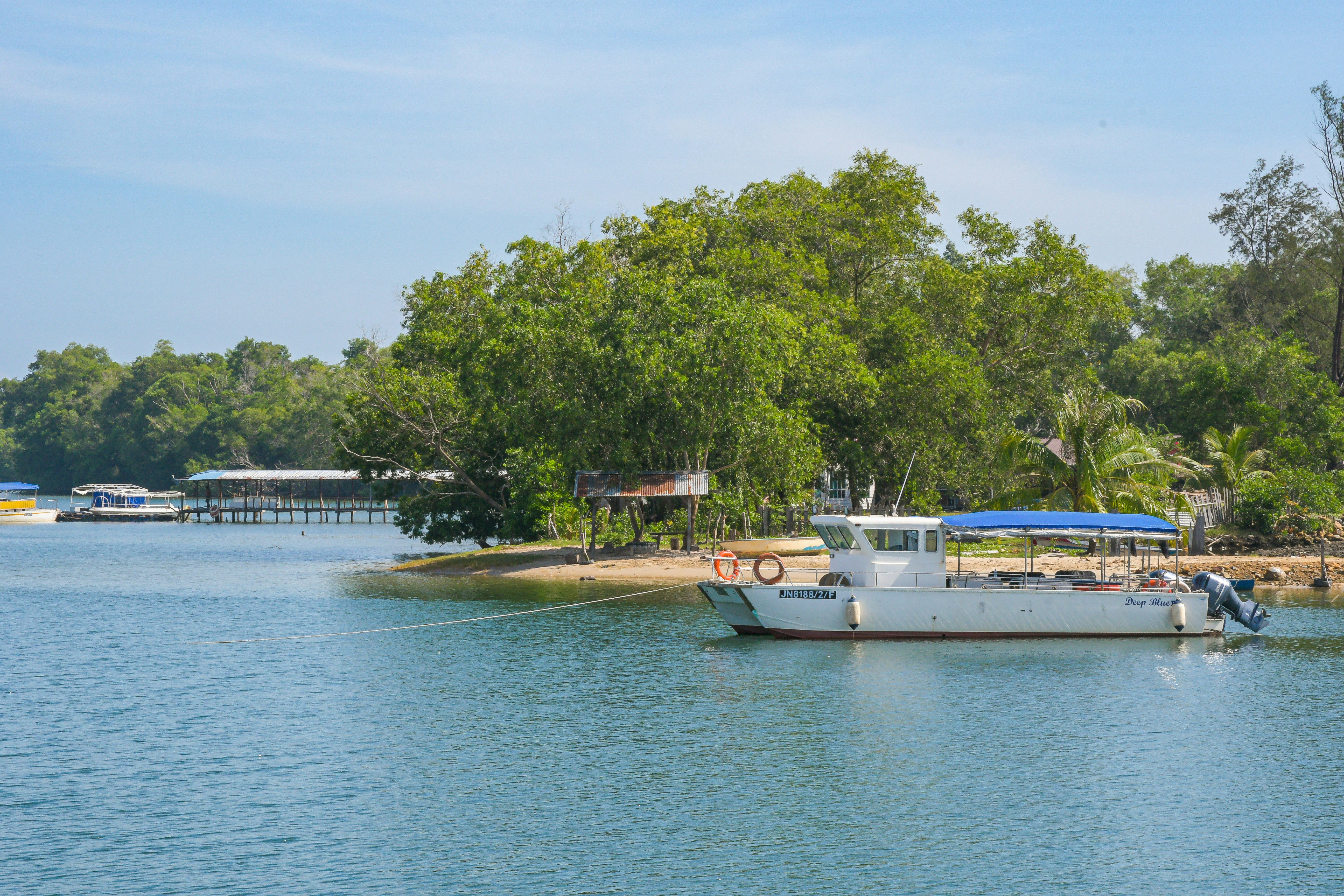 a boat on the water with trees in the background