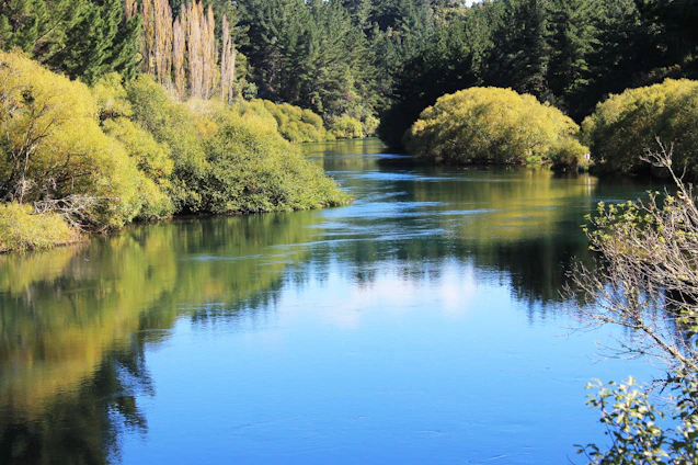 A serene river winding through a lush green watershed, illustrating natural harmony.