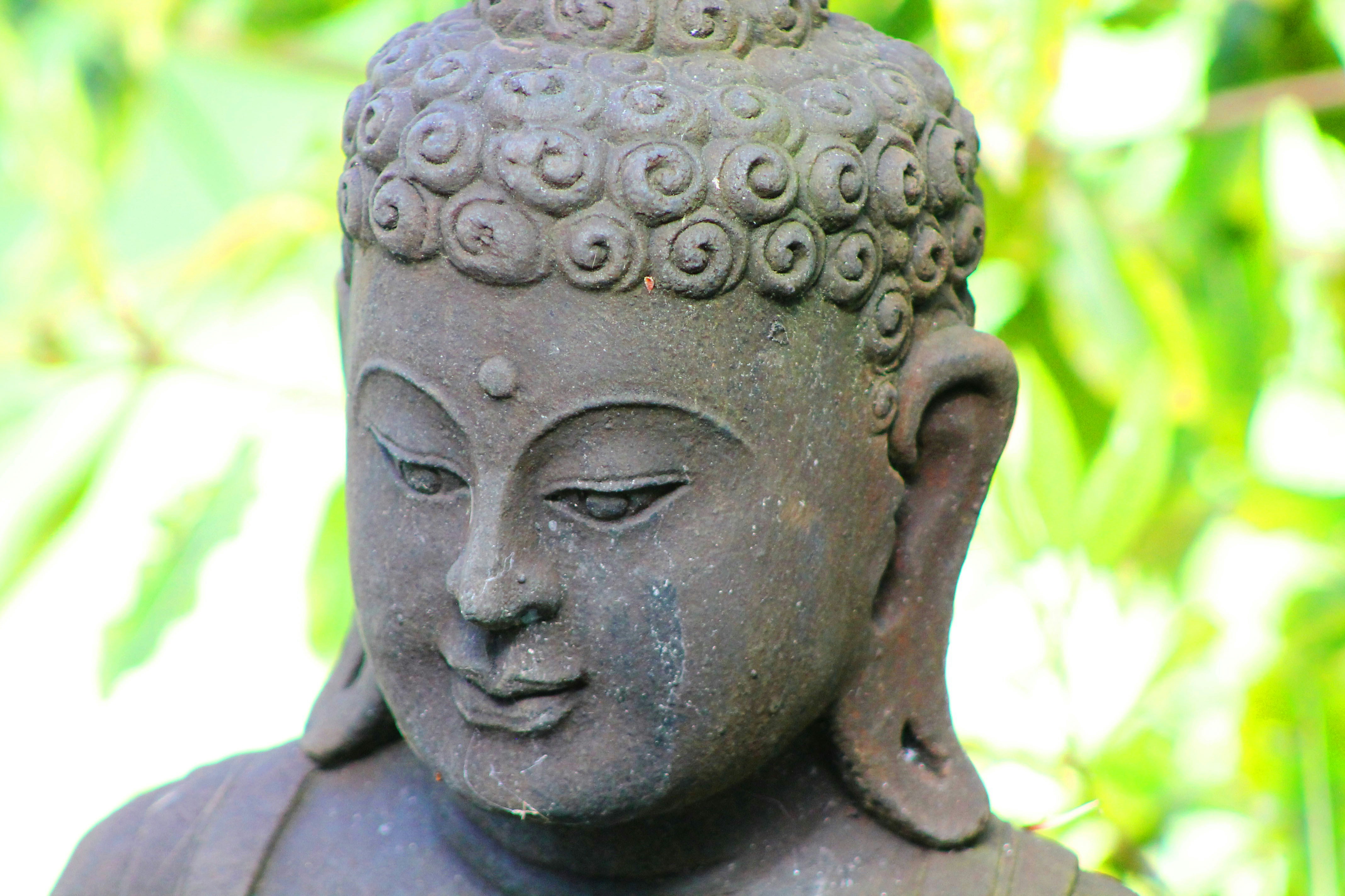A close-up of a statue of Buddha