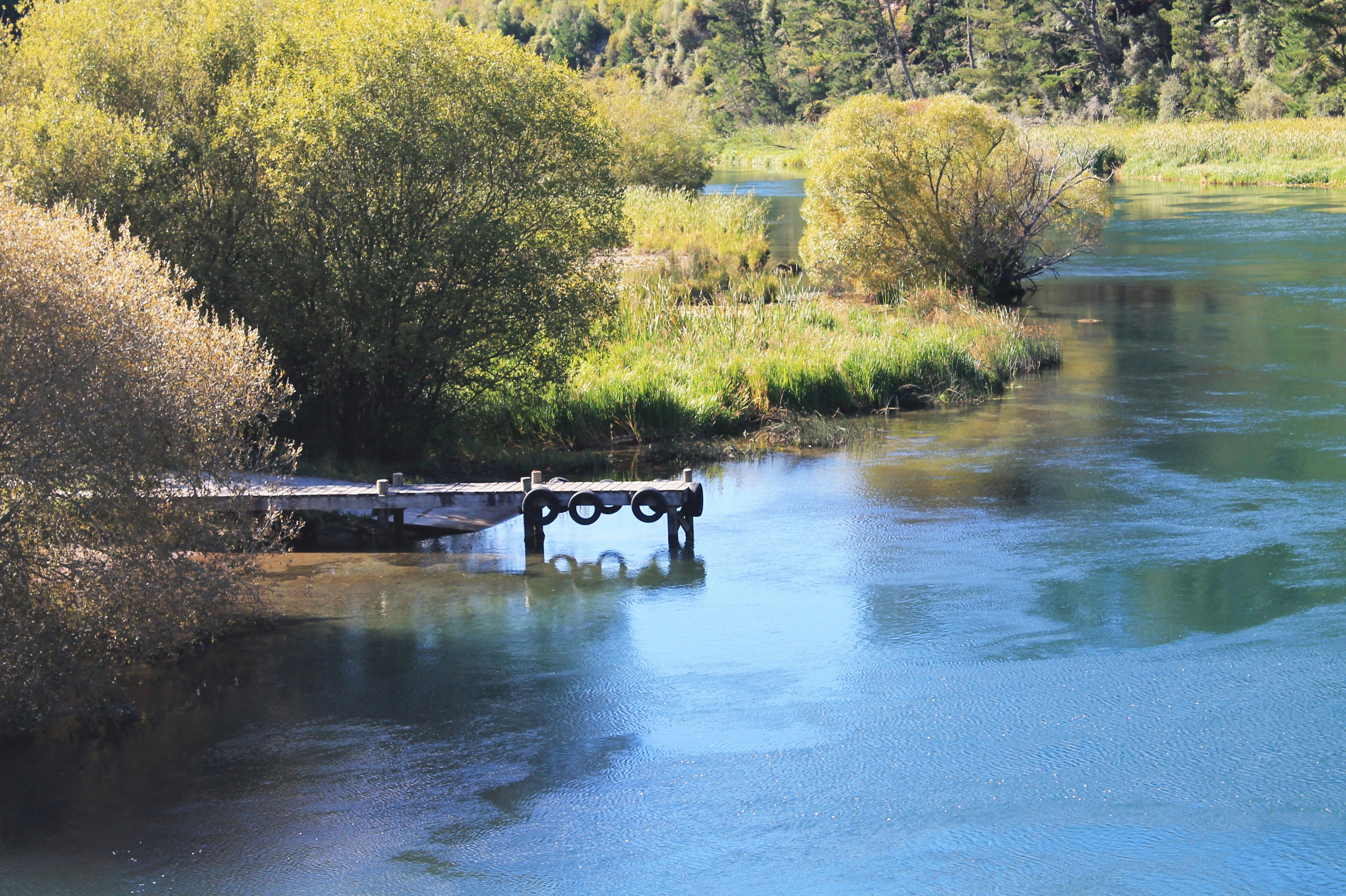eine Holzbrücke über einen Fluss, umgeben von Bäumen
