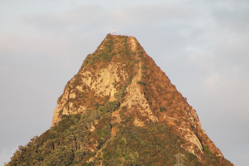 a tall mountain with a bird perched on top of it