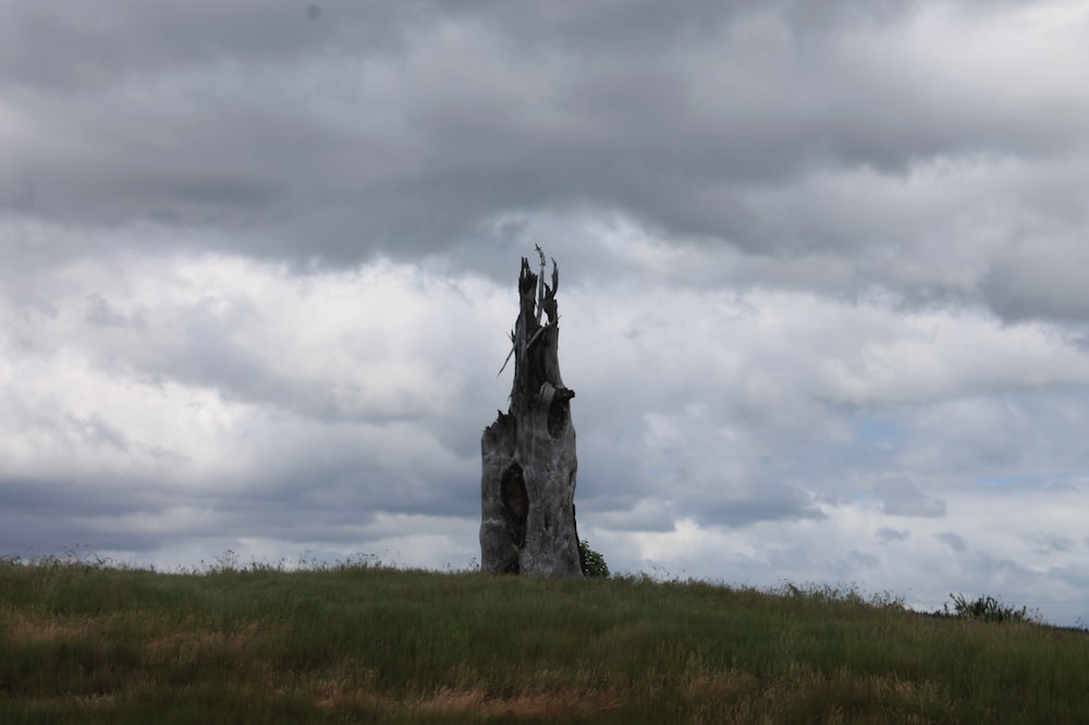 a large tree stump sitting on top of a lush green field