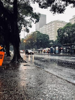 A rainy urban street scene featuring wet sidewalks and a reflective road surface. Several people holding umbrellas are seen walking and waiting at a bus stop. Cars drive past and large trees are part of the scene, with an orange trash bin and tall buildings in the background.