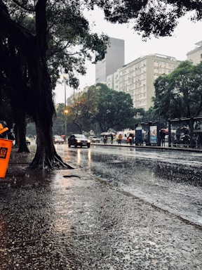 A rainy urban street scene featuring wet sidewalks and a reflective road surface. Several people holding umbrellas are seen walking and waiting at a bus stop. Cars drive past and large trees are part of the scene, with an orange trash bin and tall buildings in the background.